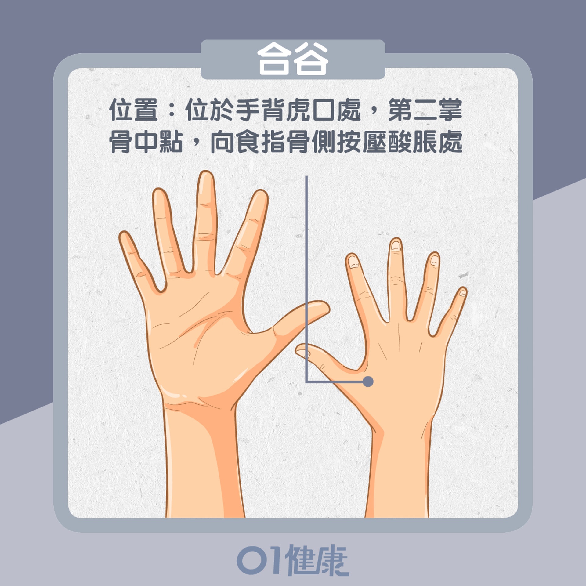 合谷穴位置(01製圖) 合谷穴位置(01製圖)