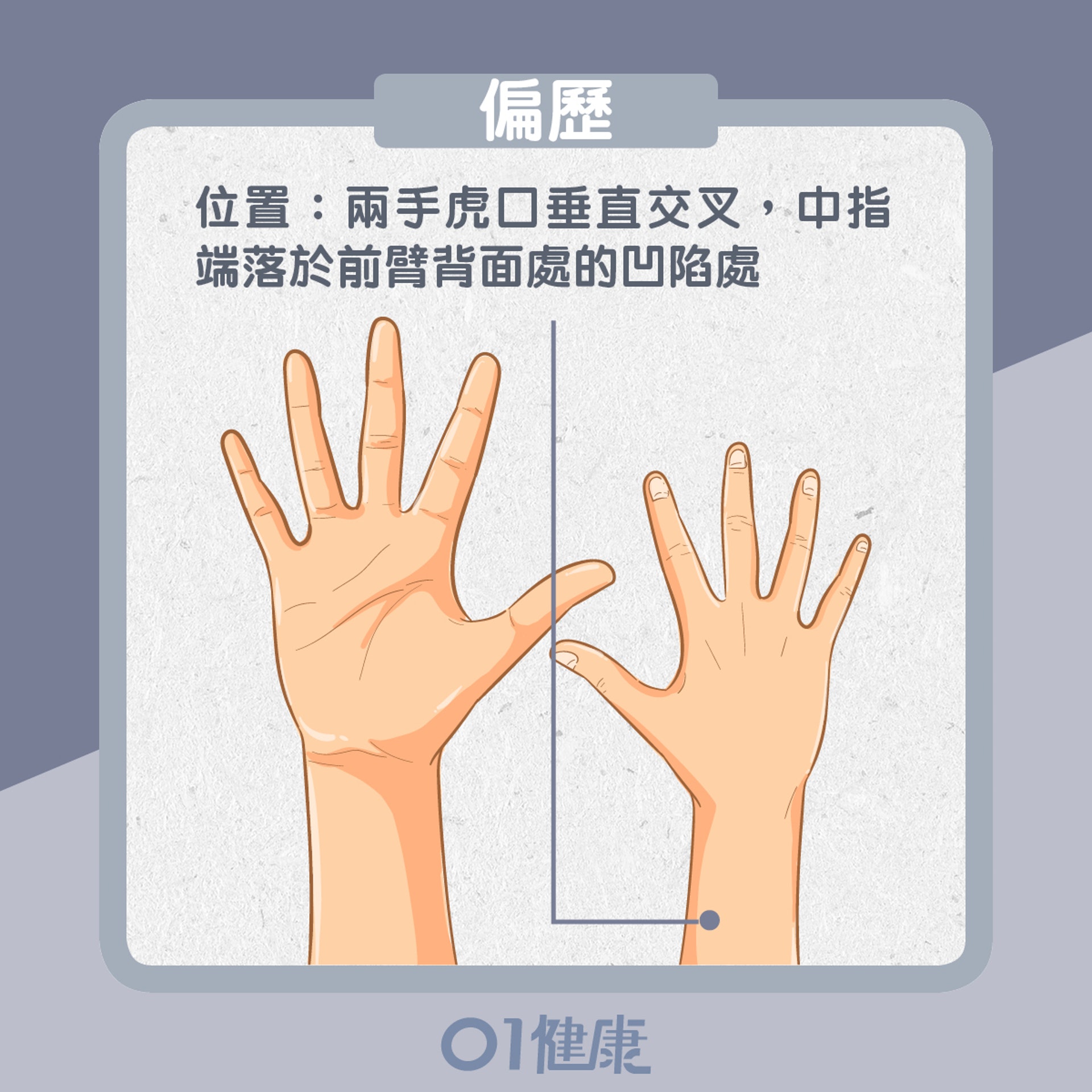 偏歷穴位置(01製圖) 偏歷穴位置(01製圖)