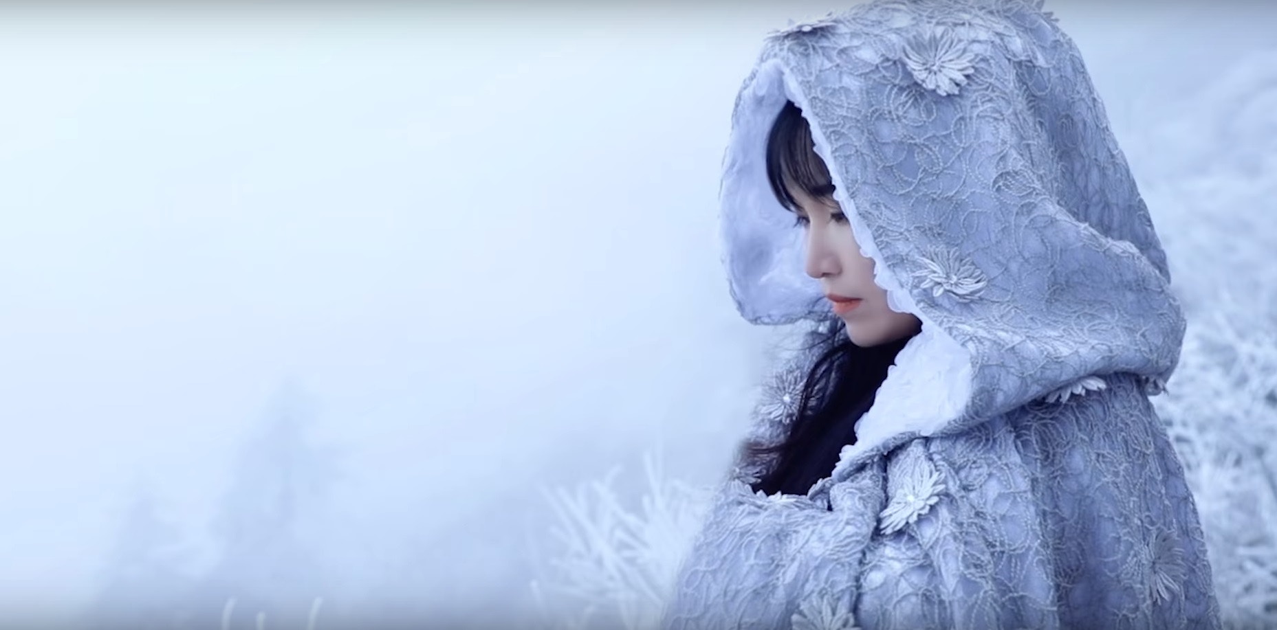Image result for 李子柒"
