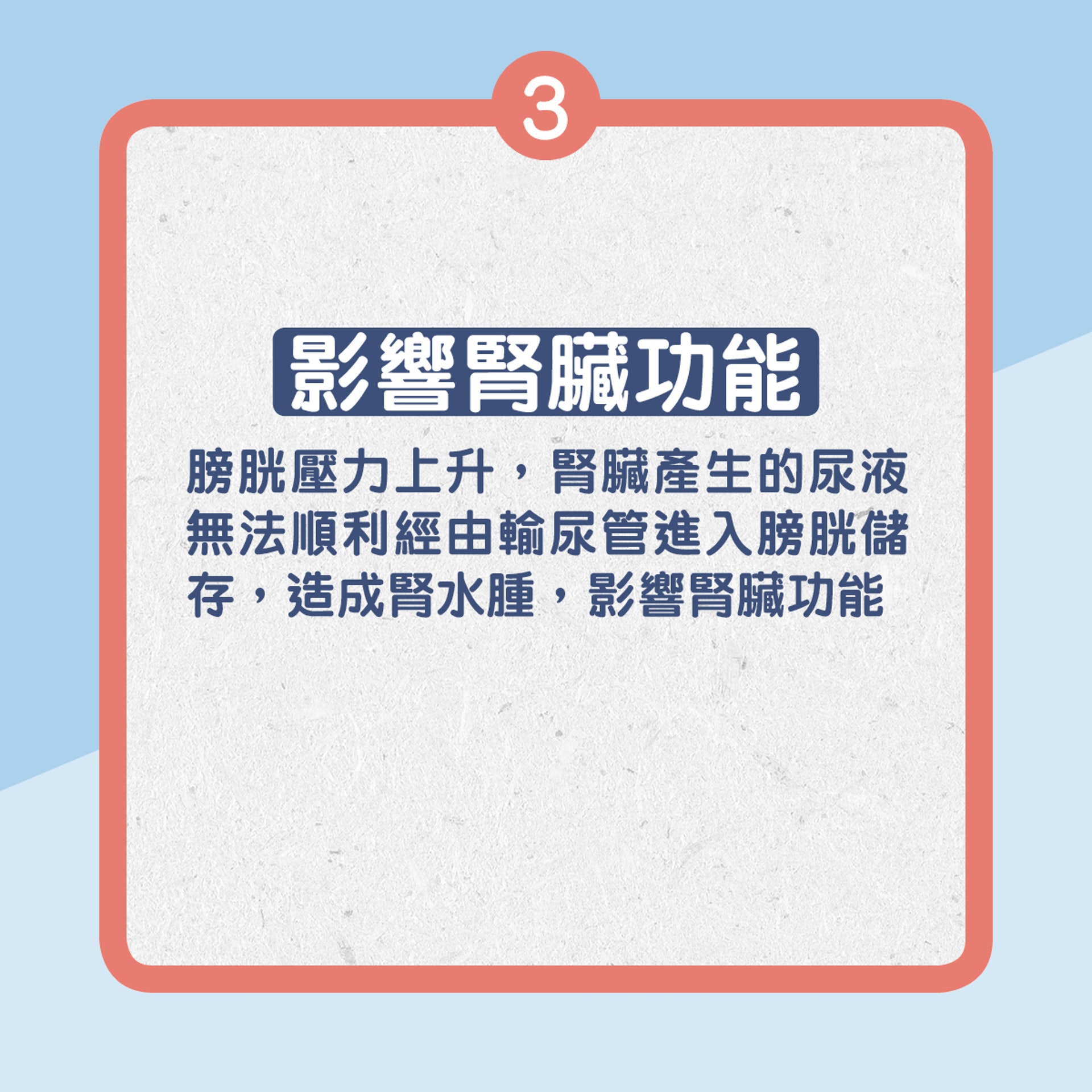 憋尿的影響(01製圖) 憋尿的影響(01製圖)