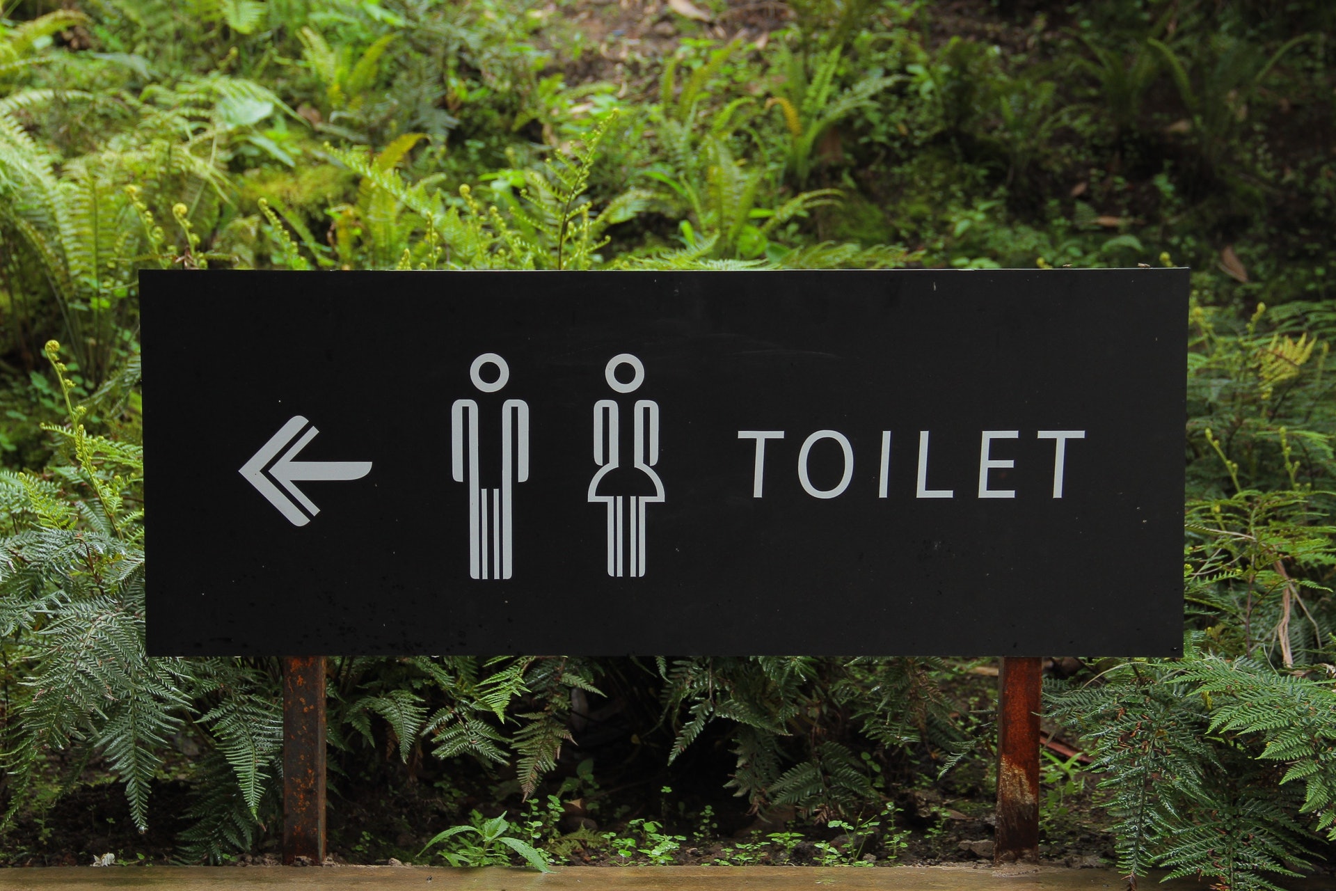膀胱過動症對生活品質的影響十分大，甚至會因常跑廁所而遭旁人取笑。（Hafidz Alifuddin／Pexels）