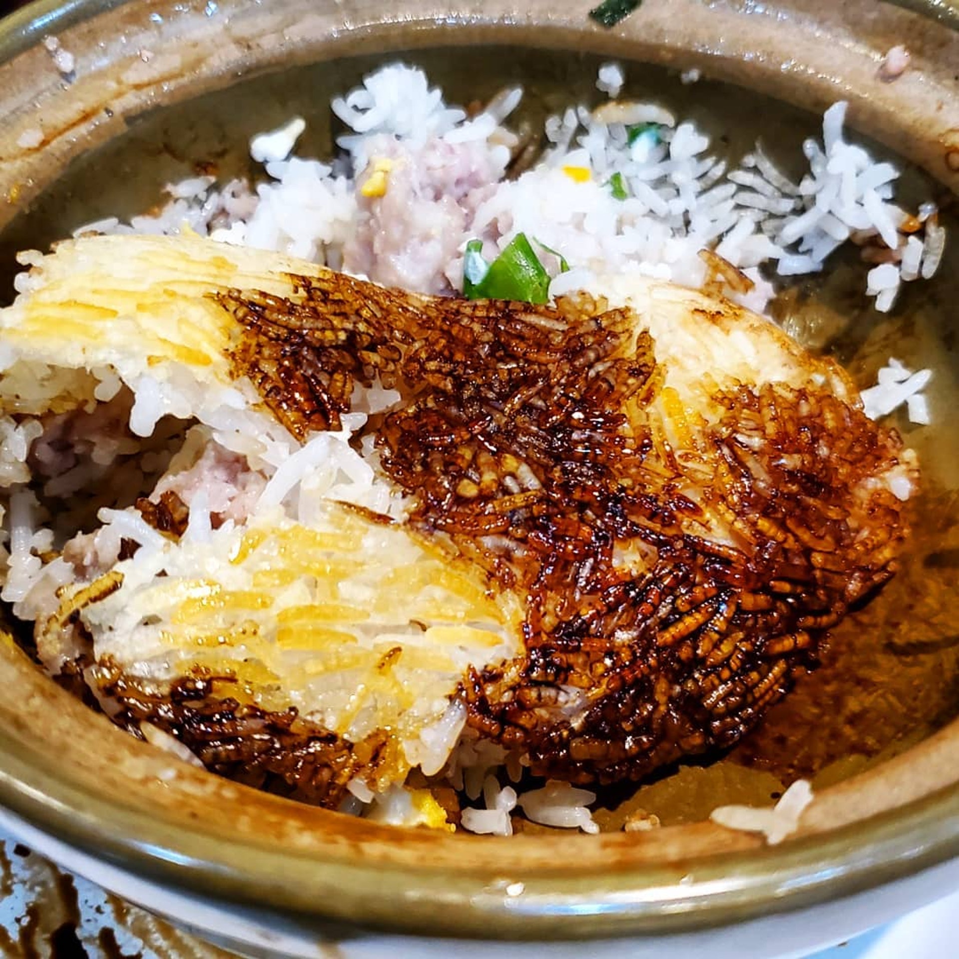 金黃色的飯焦是精華所在,煲仔飯夠乾身!(ig@ instaudreyttt) 金黃色的飯焦是精華所在,煲仔飯夠乾身!(ig@ instaudreyttt)