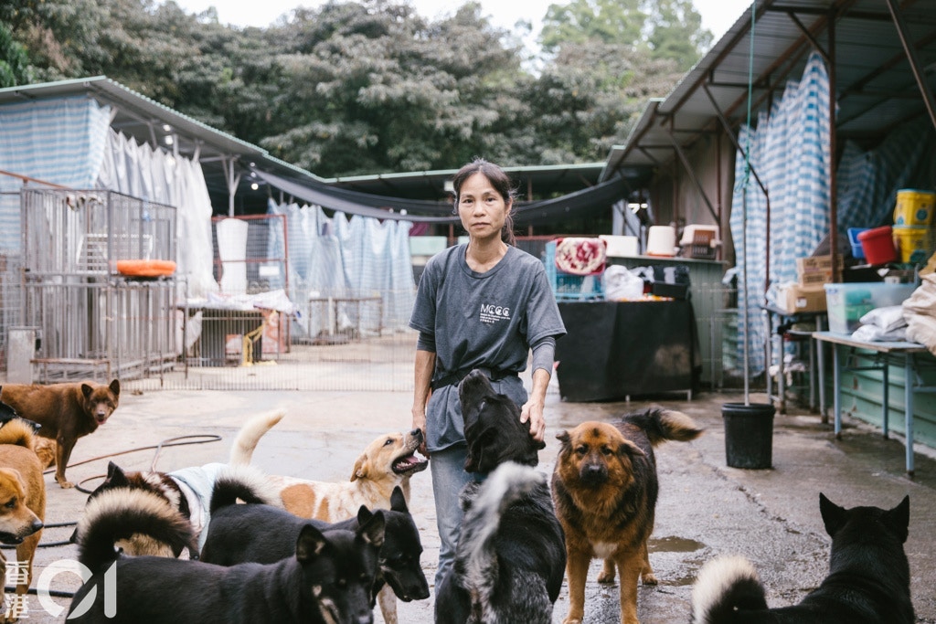 沙律媽年輕時曾於法國留學,後於法國駐港澳總領事館任職。(鄭子峰攝) 沙律媽年輕時曾於法國留學,後於法國駐港澳總領事館任職。(鄭子峰攝)