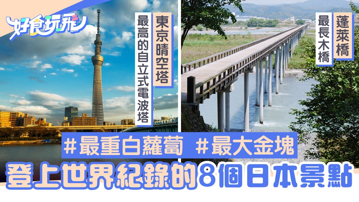 日本旅遊 日光並木道 蓬莱橋八個登上世界紀錄的日本景點