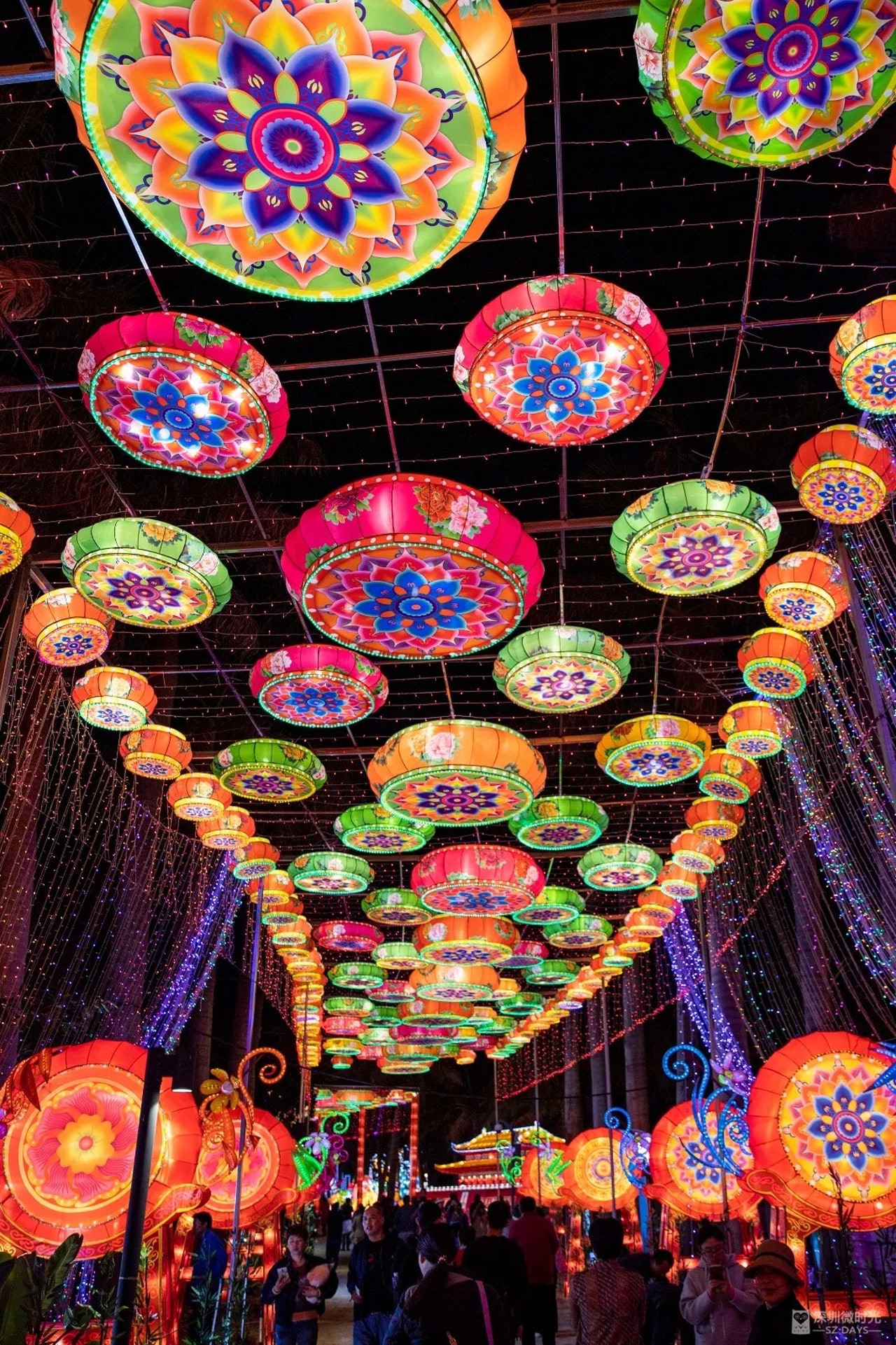 2019深圳歡樂燈會(深圳微時光授權使用) 2019深圳歡樂燈會(深圳微時光授權使用)