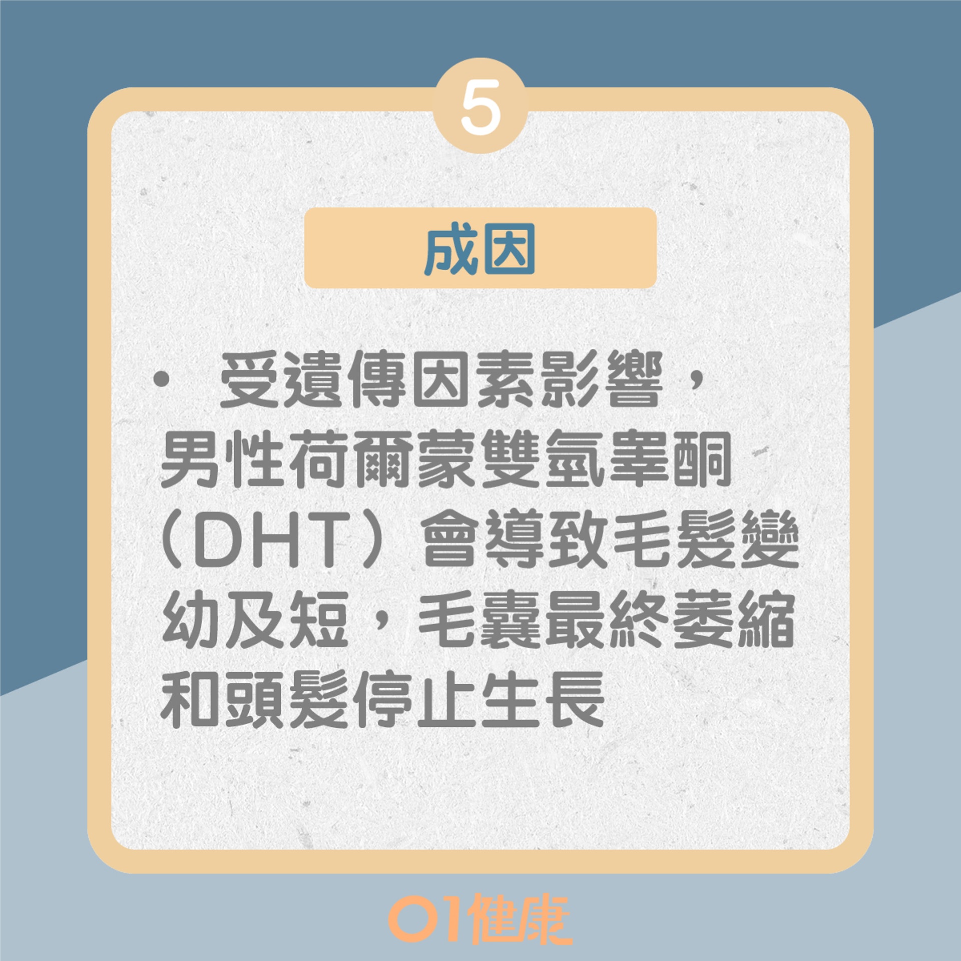 雄激素性脫髮(01製圖) 雄激素性脫髮(01製圖)