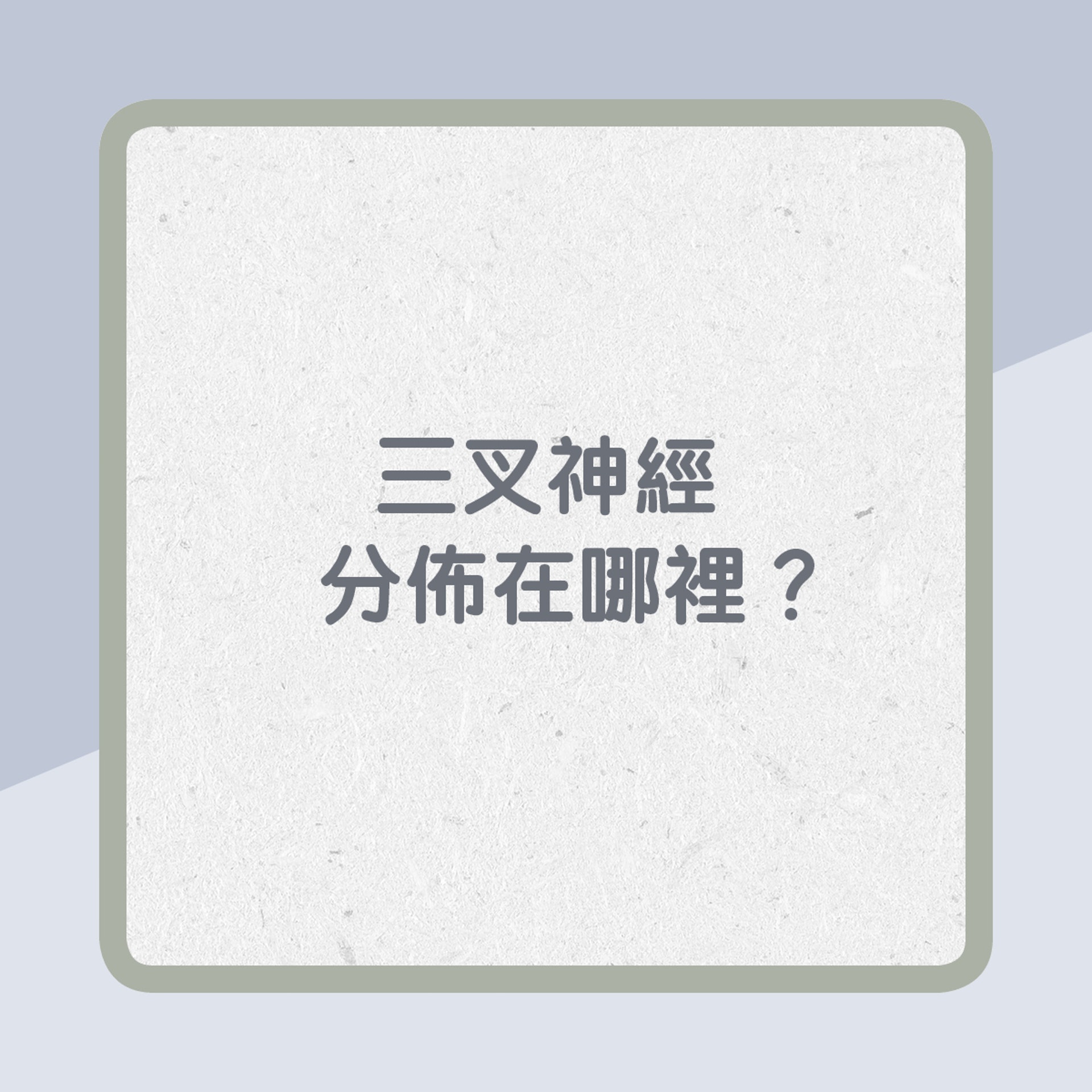 三叉神經分佈在哪裡?(01製圖) 三叉神經分佈在哪裡?(01製圖)