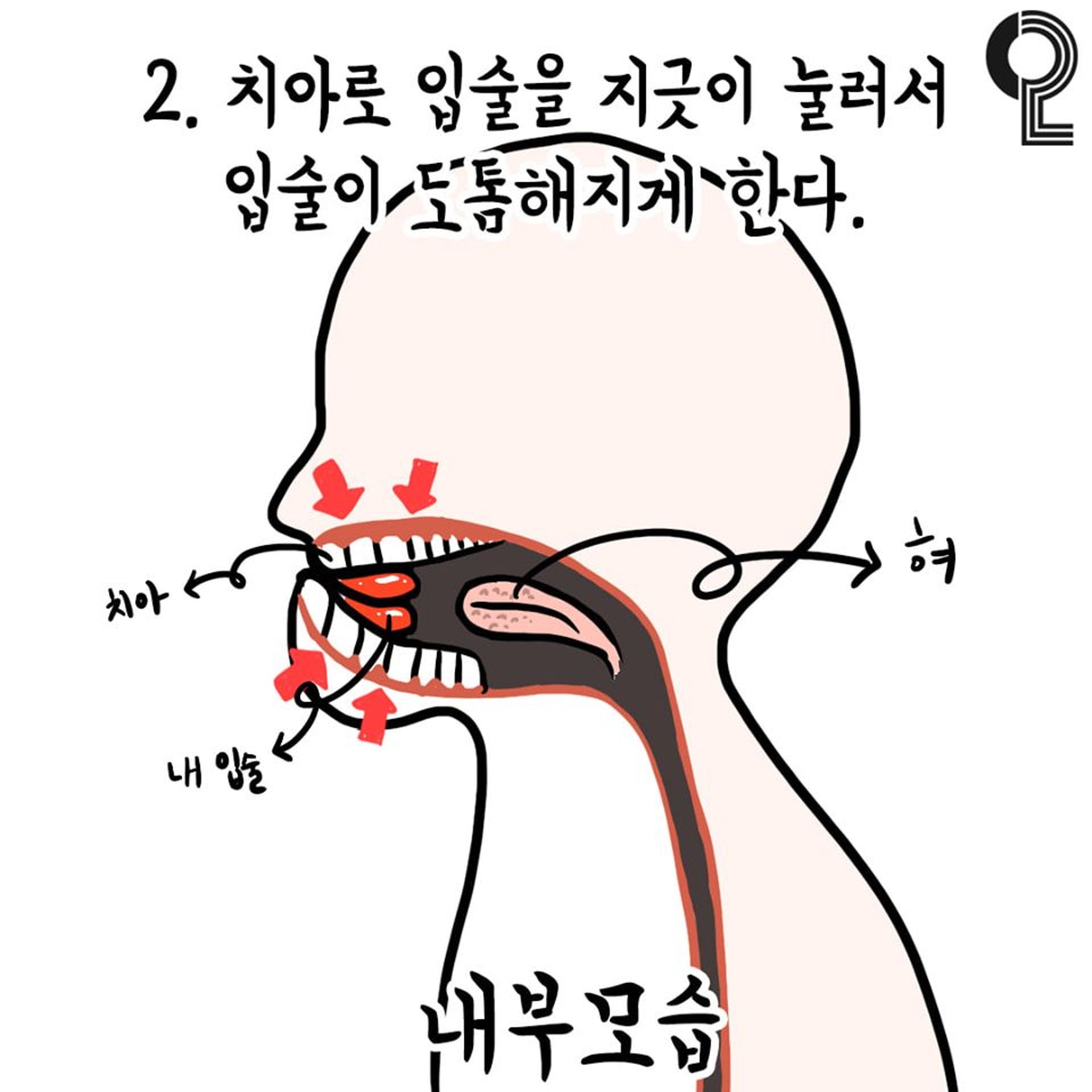 2. 用牙齒按壓嘴唇，使嘴唇變得突出和豐厚。