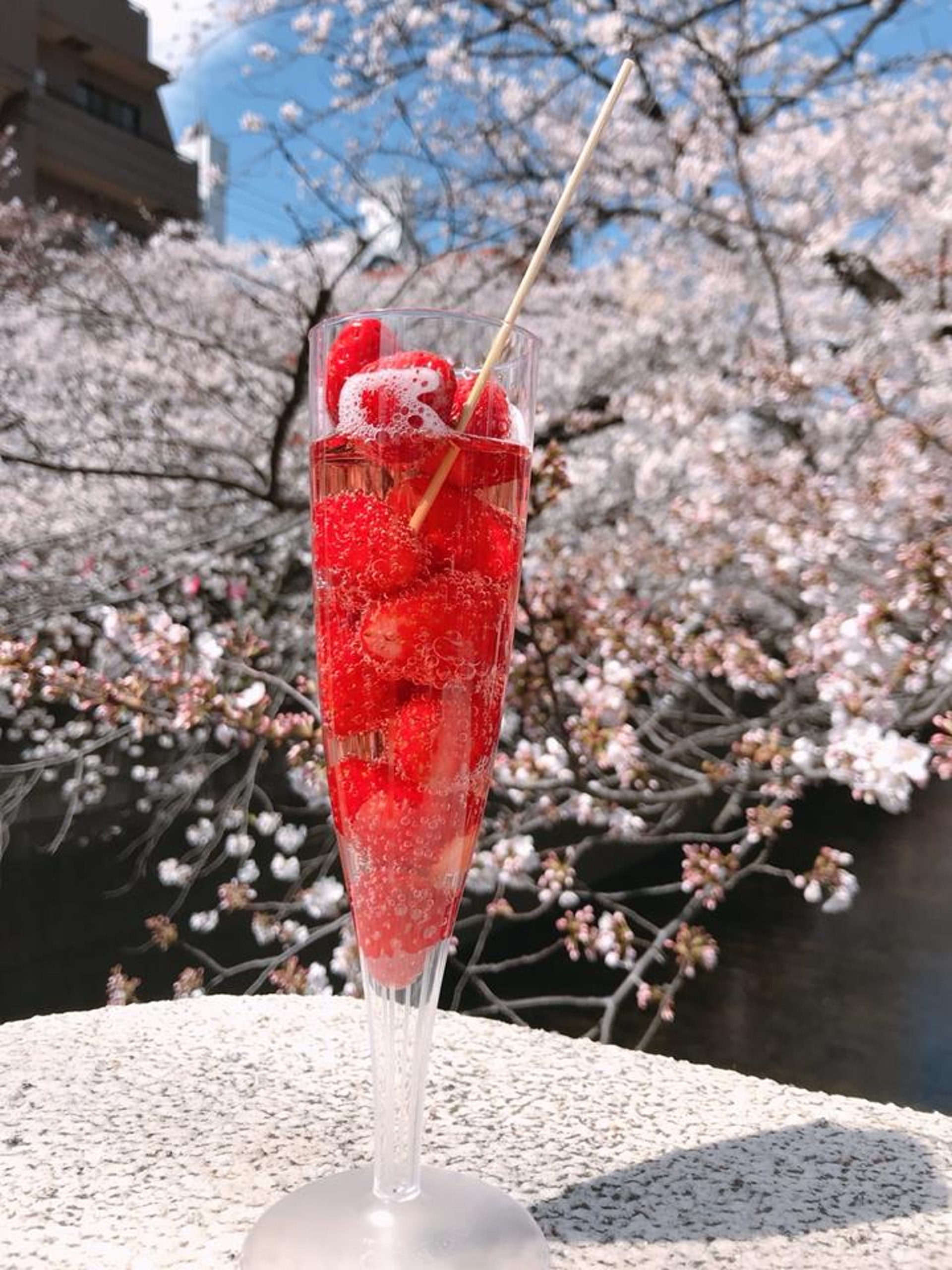 來到目黑賞櫻必點的草莓酒!(窩日本授權使用) 來到目黑賞櫻必點的草莓酒!(窩日本授權使用)