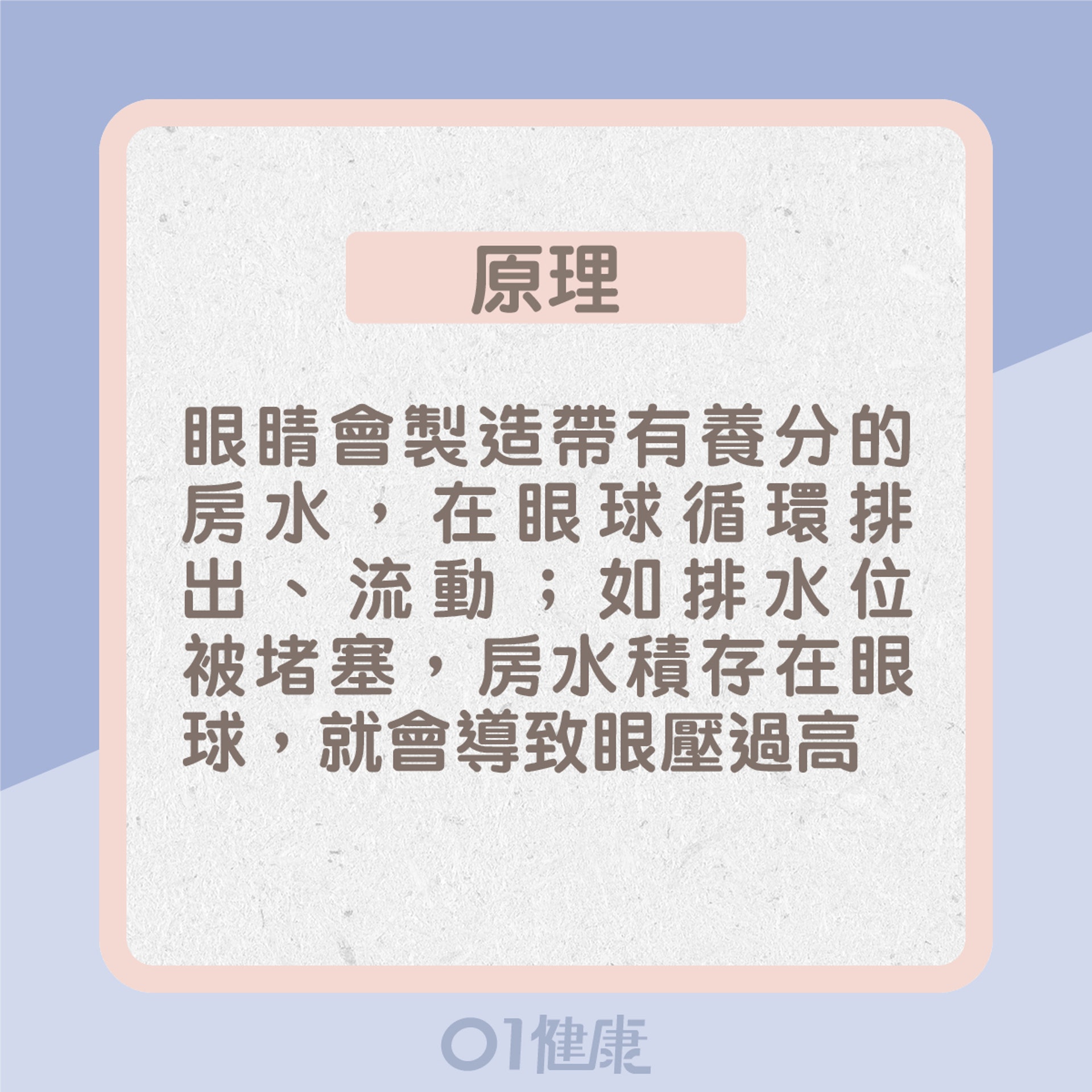 原理:眼睛會製造帶有養分的房水,在眼球循環排出、流動,如排水位被堵塞,房水積存在眼球,就會導致眼壓過高(01製圖) 原理:眼睛會製造帶有養分的房水,在眼球循環排出、流動,如排水位被堵塞,房水積存在眼球,就會導致眼壓過高(01製圖)