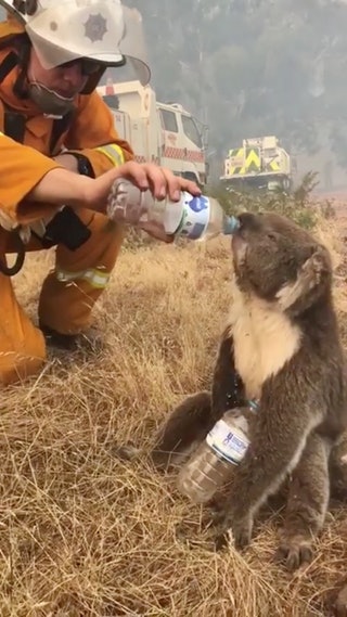 点击图片看原样大小图片