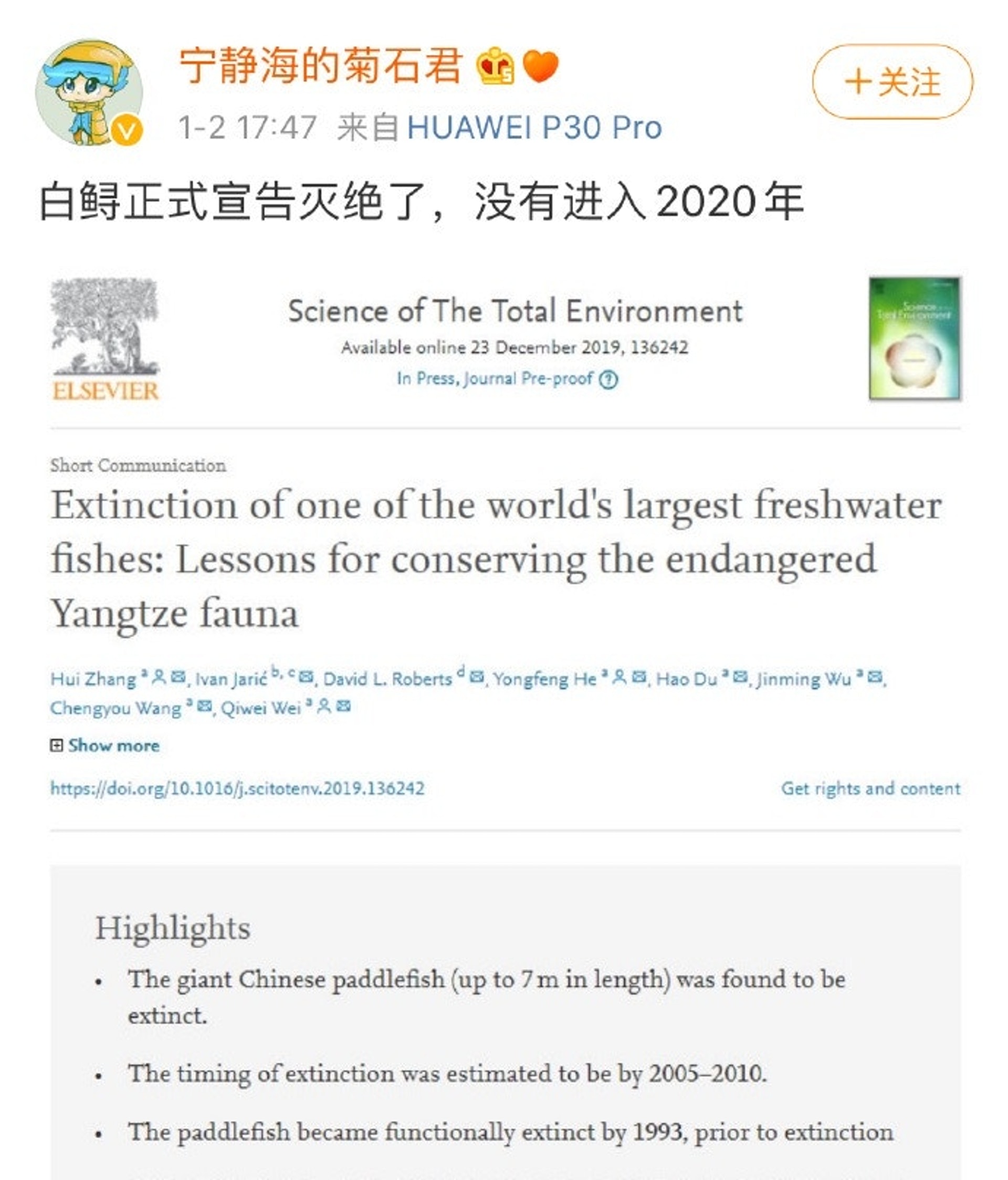 《整體環境科學》研究論文指出,長江白鱘估計在2005至2010年間已經滅絕。(微博圖片) 《整體環境科學》研究論文指出,長江白鱘估計在2005至2010年間已經滅絕。(微博圖片)