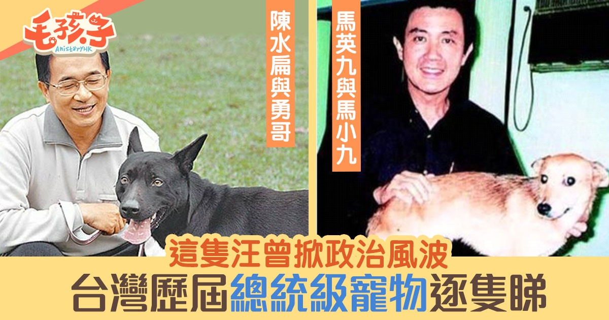 台灣大選 愛寵物是當選條件 回顧歷屆台總統不少都是貓狗奴 香港01 寵物