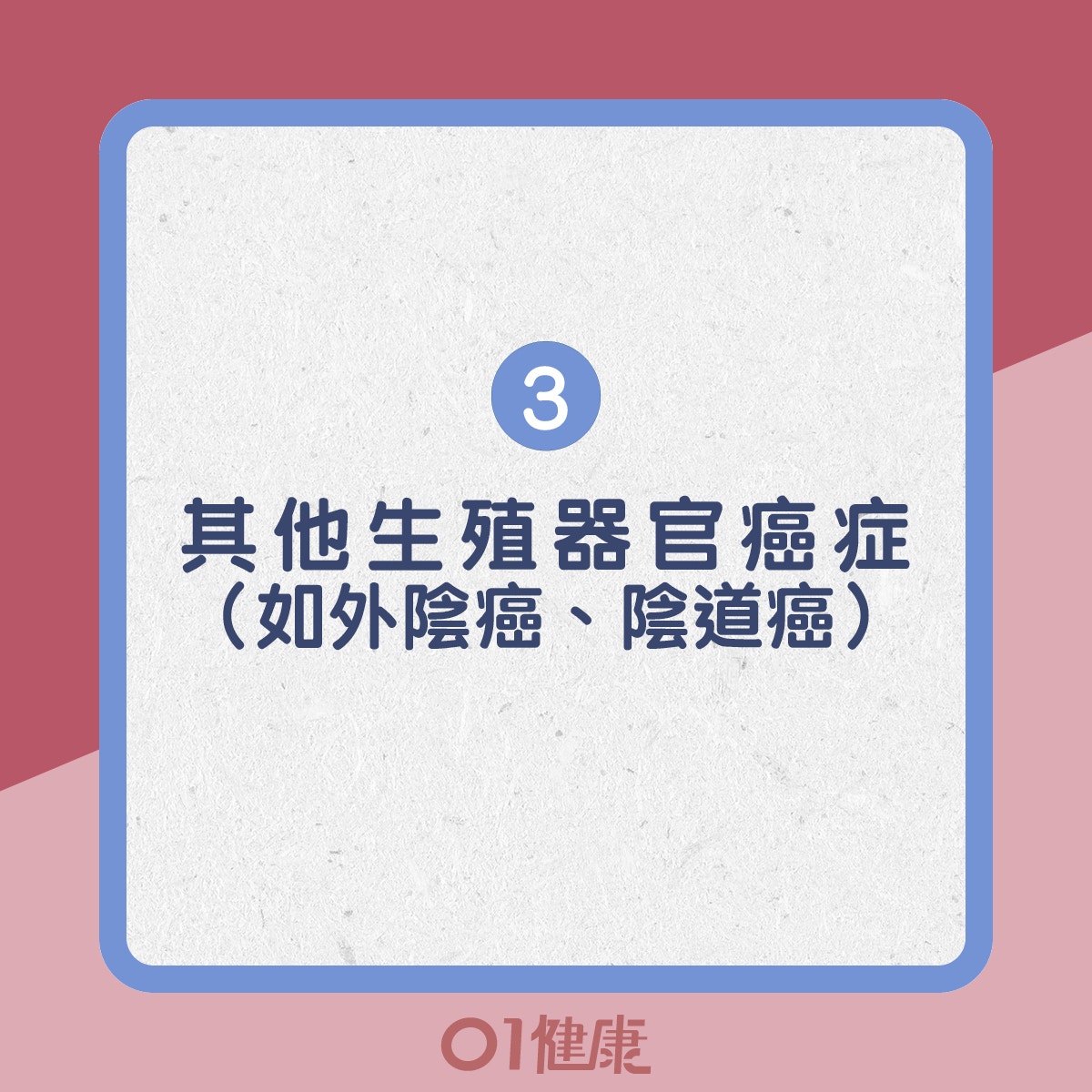 3. 其他生殖器官癌症（如外陰癌、陰道癌）（01製圖）