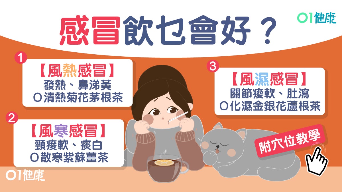 【流感】感冒分風寒及風熱4大類 氣虛易反覆患感冒怕冷頭痛 【流感】感冒分風寒及風熱4大類 氣虛易反覆患感冒怕冷頭痛