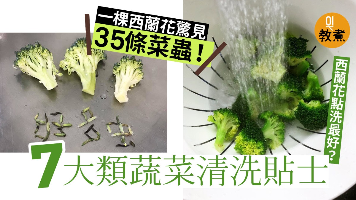 洗菜貼士 一棵西蘭花驚見35條菜蟲 7類蔬菜清洗貼士 洗菜貼士 一棵西蘭花驚見35條菜蟲 7類蔬菜清洗貼士