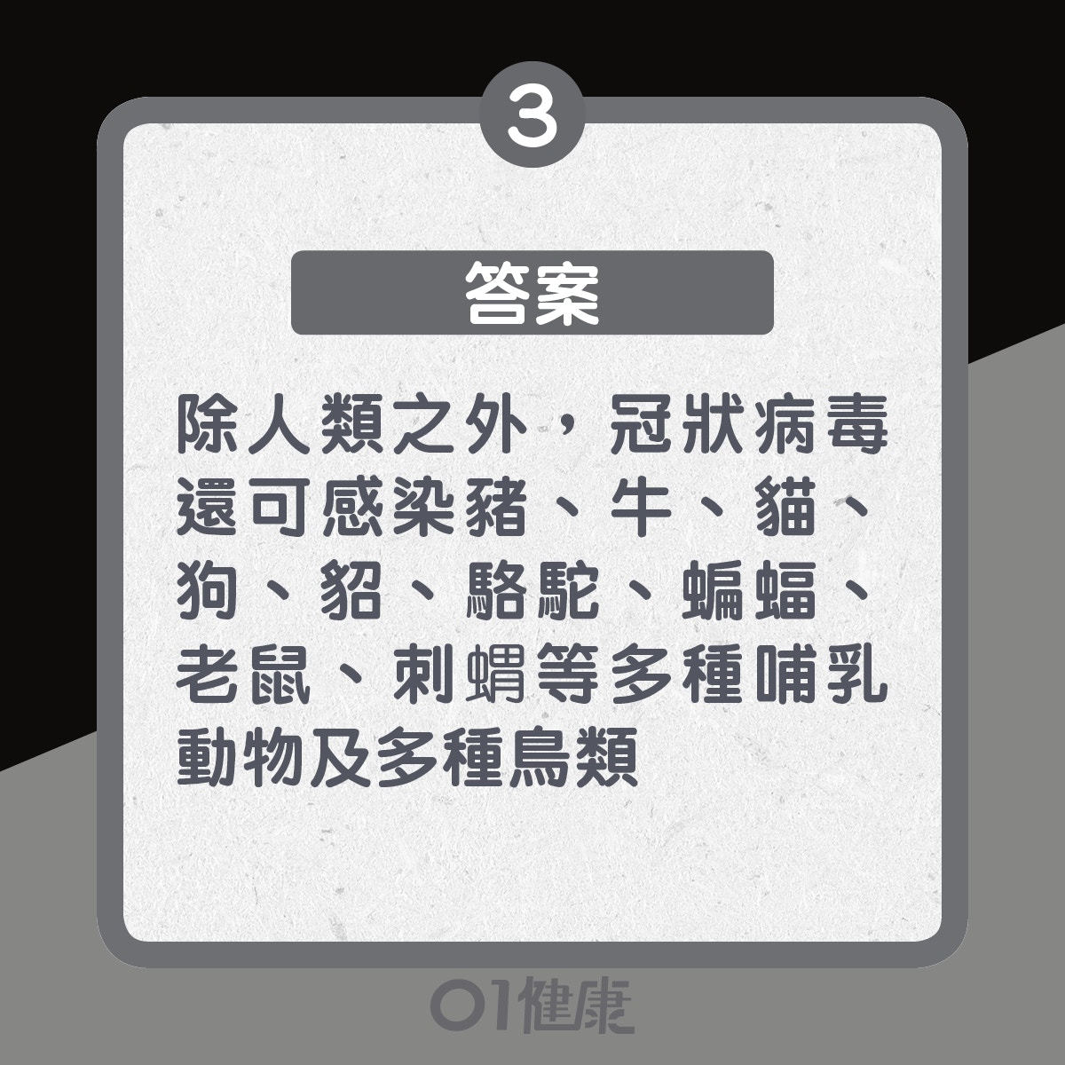 3. 答案：除人類以外，還可感染豬、牛、貓、犬、貂、駱駝、蝙蝠、老鼠、刺蝟等多種哺乳動物以及多種鳥類（01製圖）