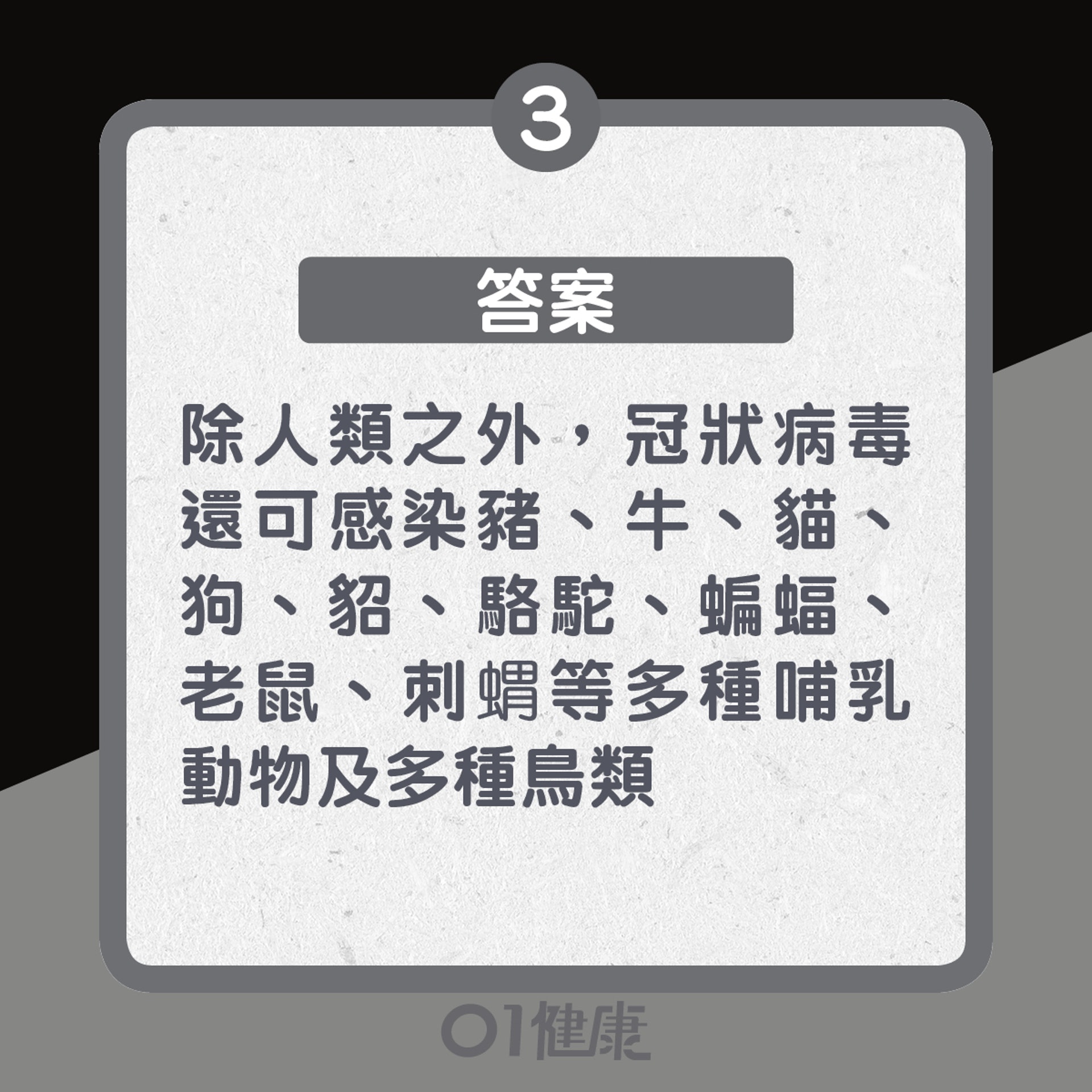3. 答案:除人類以外,還可感染豬、牛、貓、犬、貂、駱駝、蝙蝠、老鼠、刺蝟等多種哺乳動物以及多種鳥類(01製圖) 3. 答案:除人類以外,還可感染豬、牛、貓、犬、貂、駱駝、蝙蝠、老鼠、刺蝟等多種哺乳動物以及多種鳥類(01製圖)