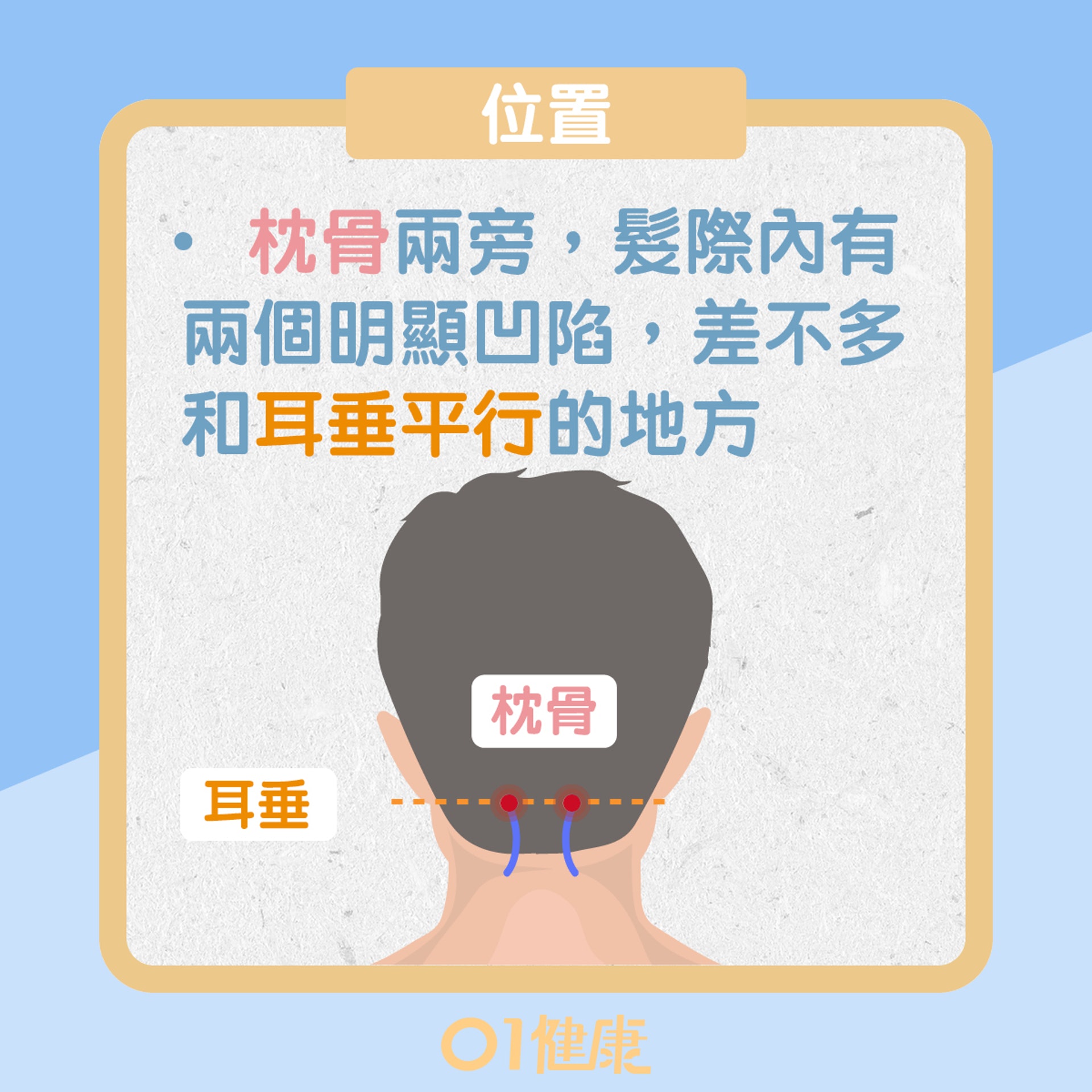 風池穴(01製圖) 風池穴(01製圖)