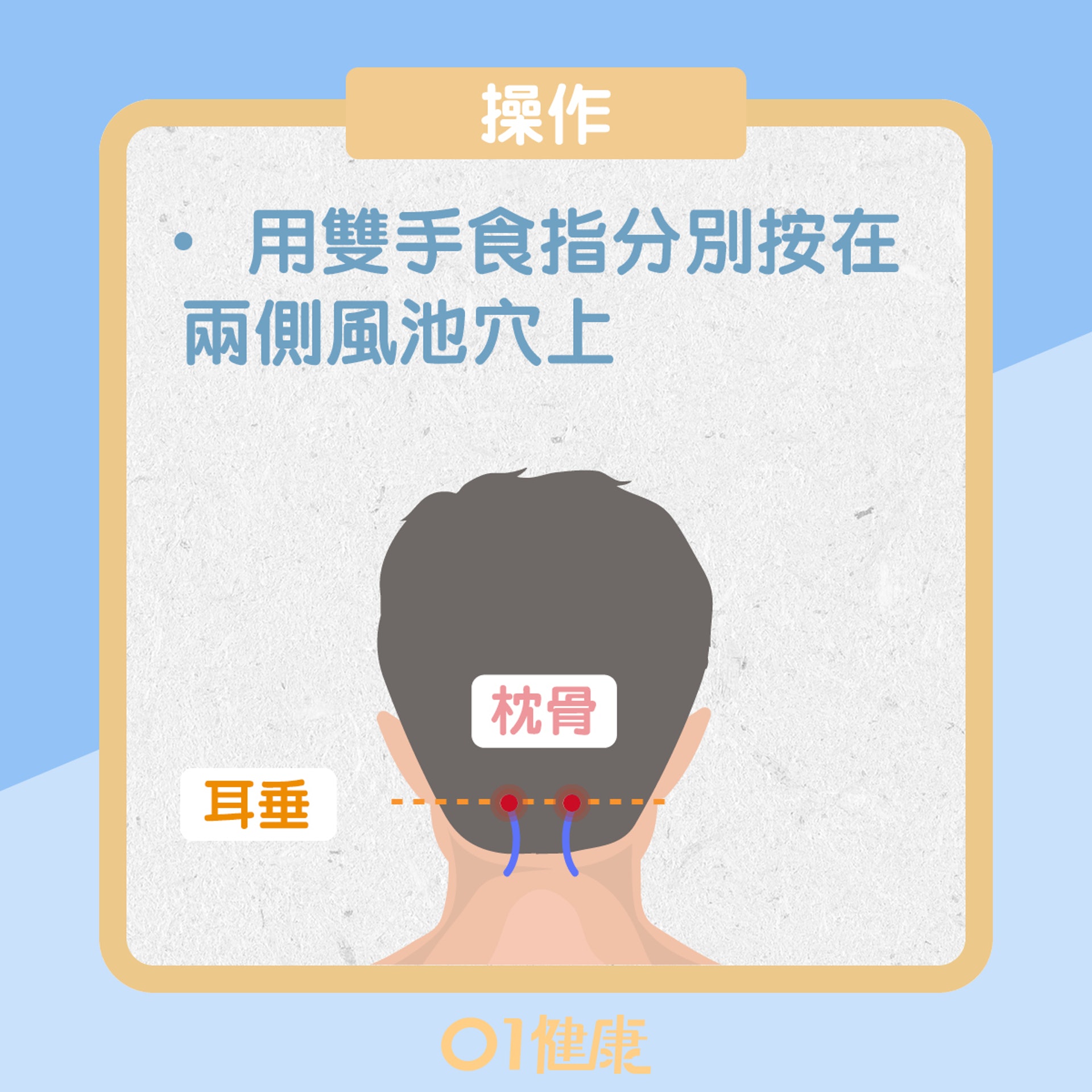 風池穴(01製圖) 風池穴(01製圖)