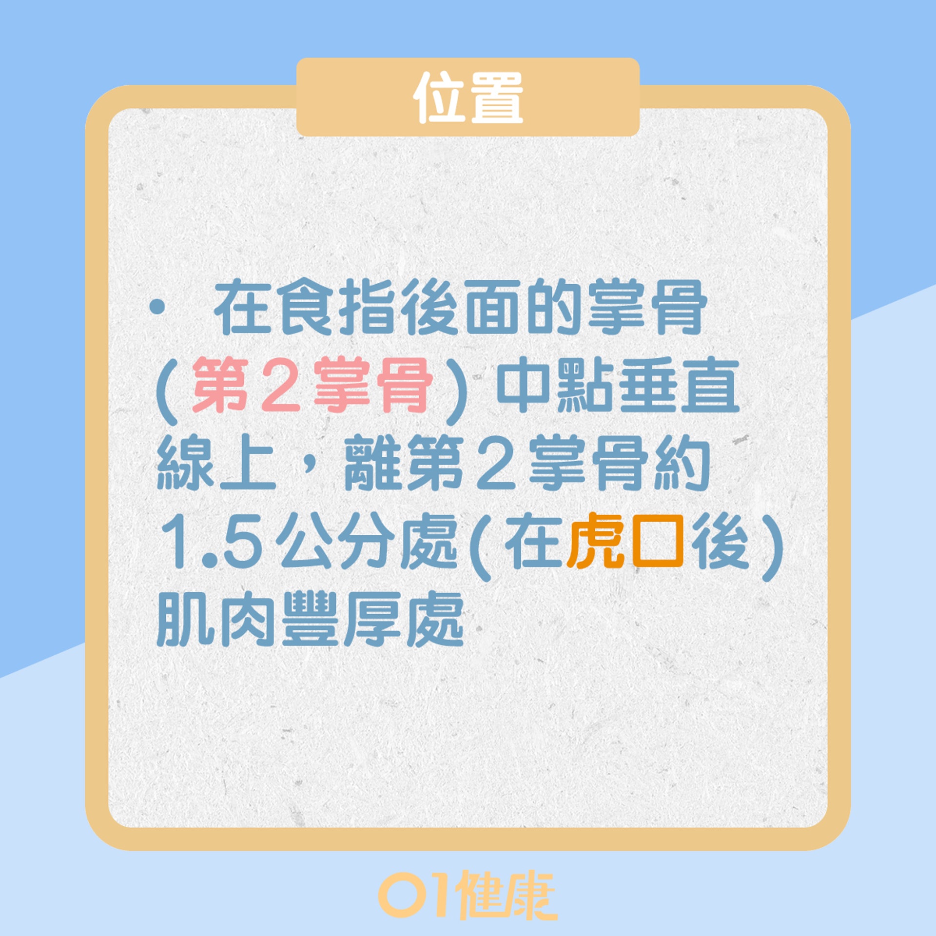 合谷穴(01製圖) 合谷穴(01製圖)