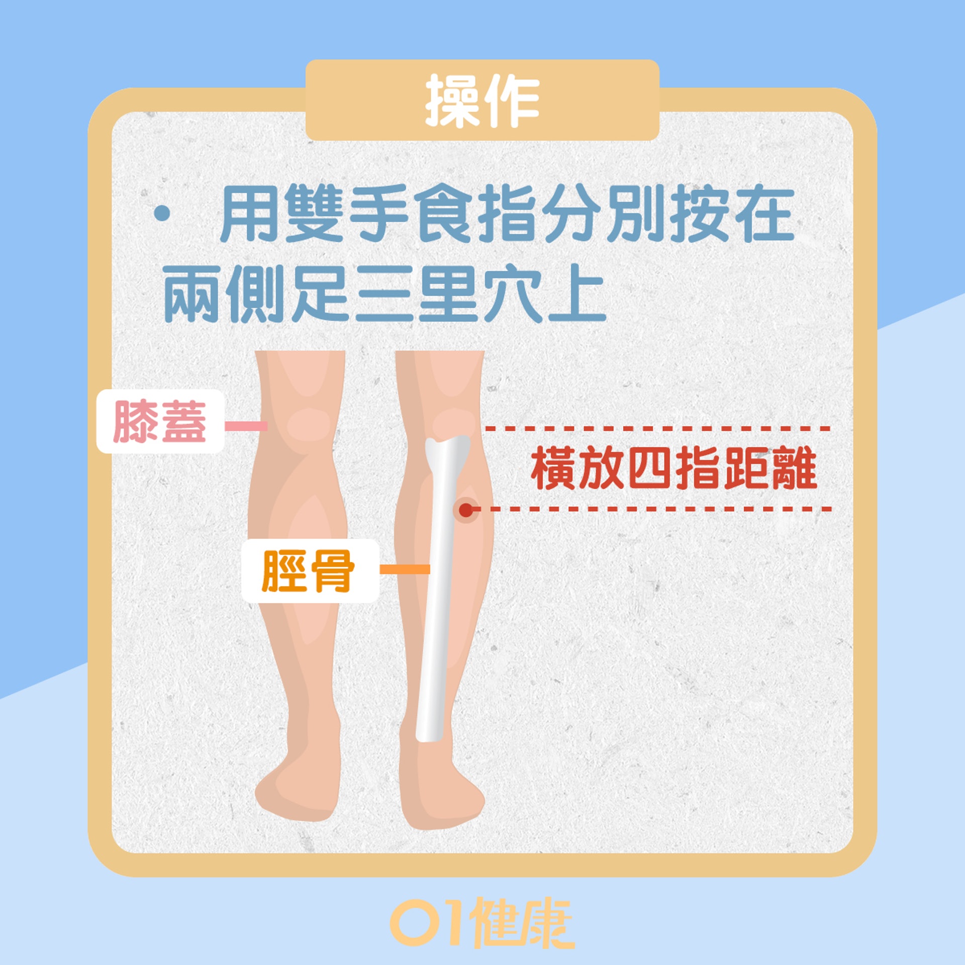 足三里穴(01製圖) 足三里穴(01製圖)