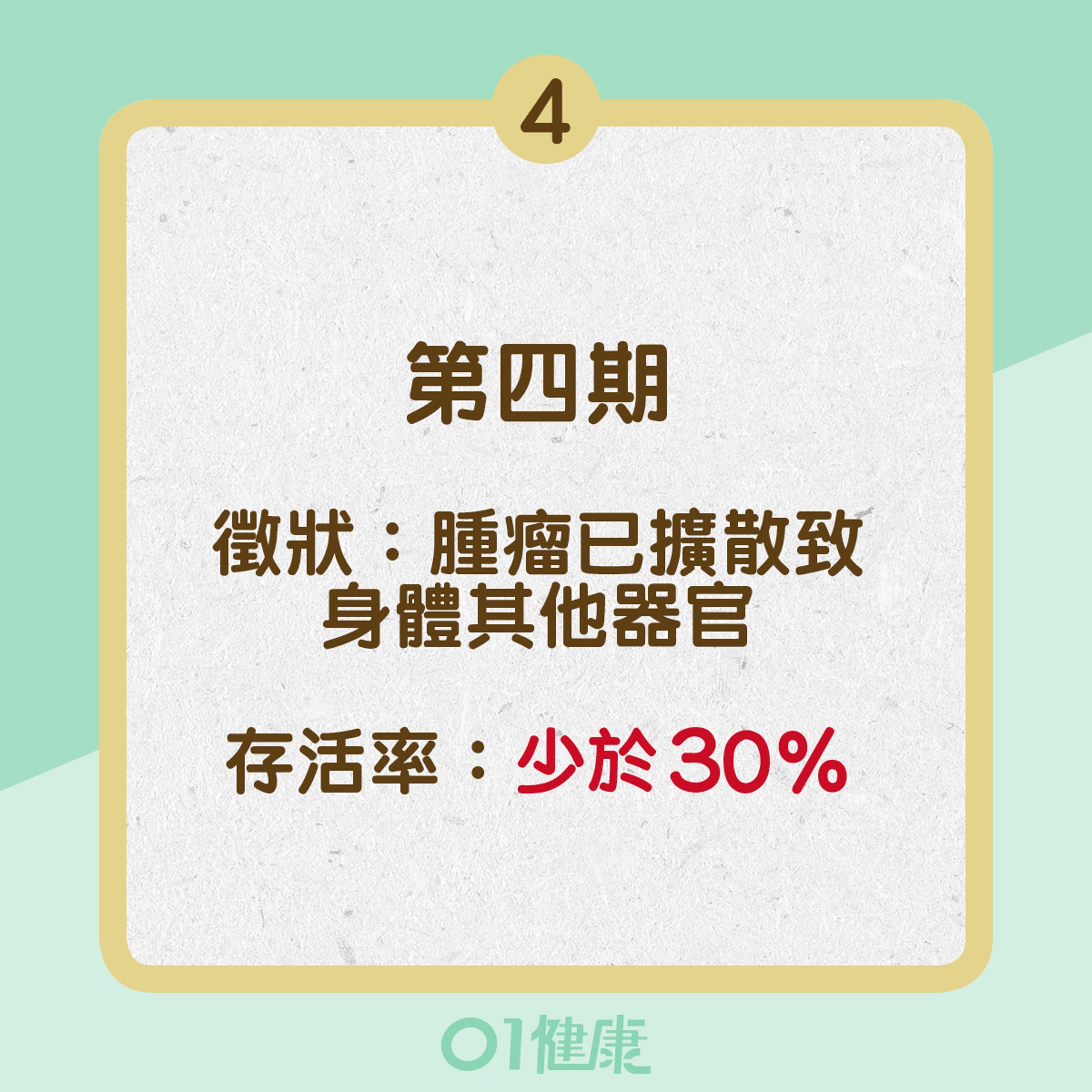 肺癌四個階段(01製圖) 肺癌四個階段(01製圖)