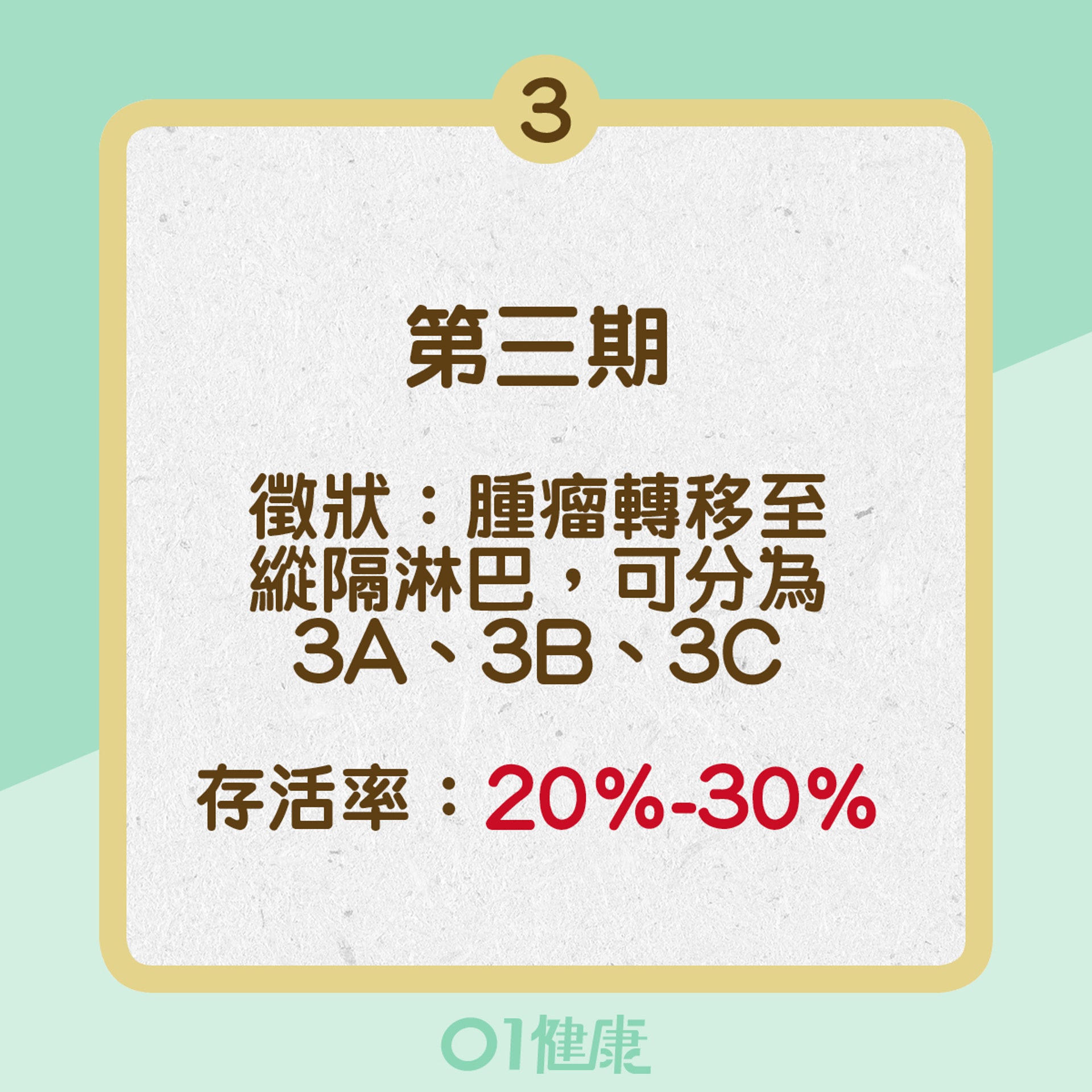 肺癌四個階段(01製圖) 肺癌四個階段(01製圖)