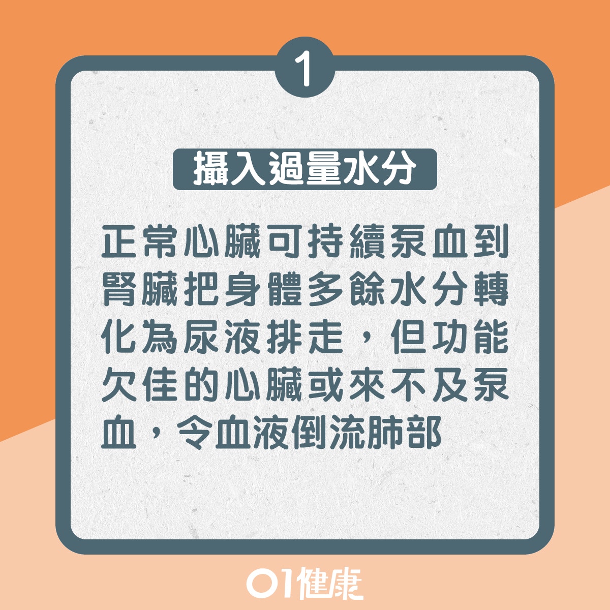 1. 攝入過量水分：正常心臟可持續泵血到腎臟把身體多餘水分轉化為尿液排走，但功能欠佳的心臟或來不及泵血，令血液倒流肺部（01製圖）