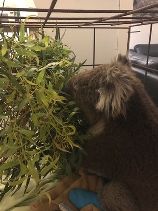 点击图片看原样大小图片
