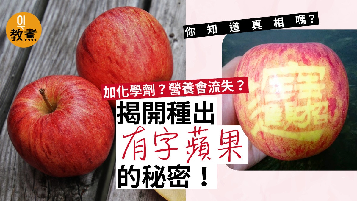 【蘋果冷知識】有字蘋果是怎樣種出來？毋須削皮、加化學藥劑？