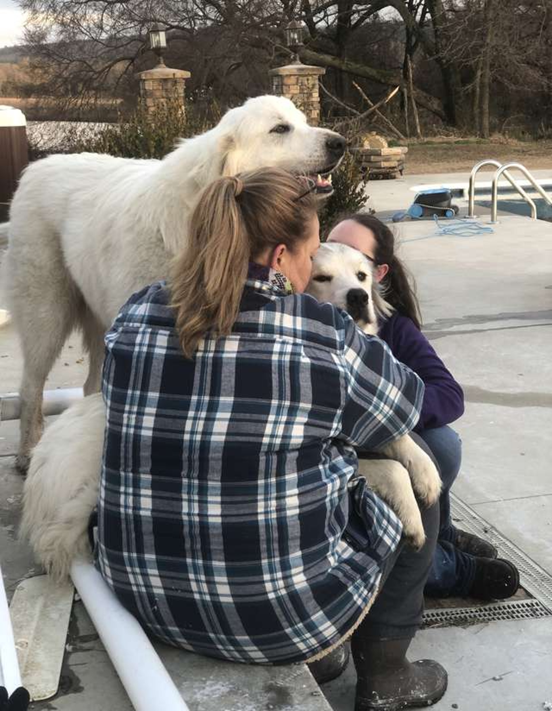 Finally, the family is reunited. Please don't leave us again, dog. (Julie Moore) Finally, the family is reunited. Please don't leave us again, dog. (Julie Moore)