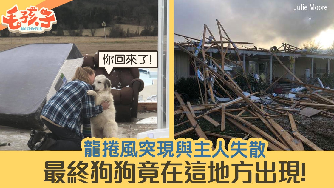 A loyal dog whose home was completely destroyed by a tornado was reunited with his owner here unharmed! A loyal dog whose home was completely destroyed by a tornado was reunited with his owner here unharmed!
