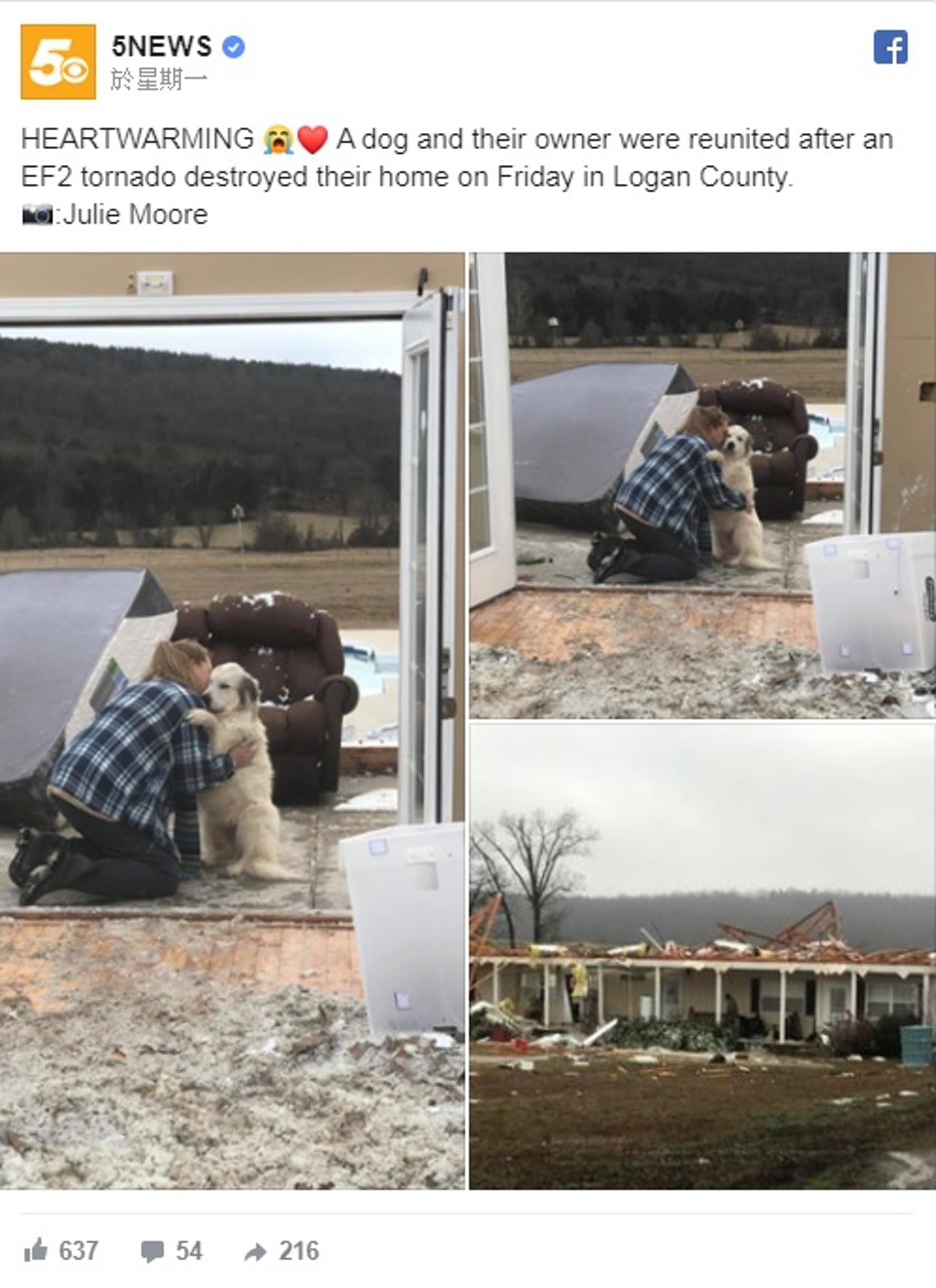 A touching moment of reunion between a man and a dog. (5NEWS@facebook) A touching moment of reunion between a man and a dog. (5NEWS@facebook)