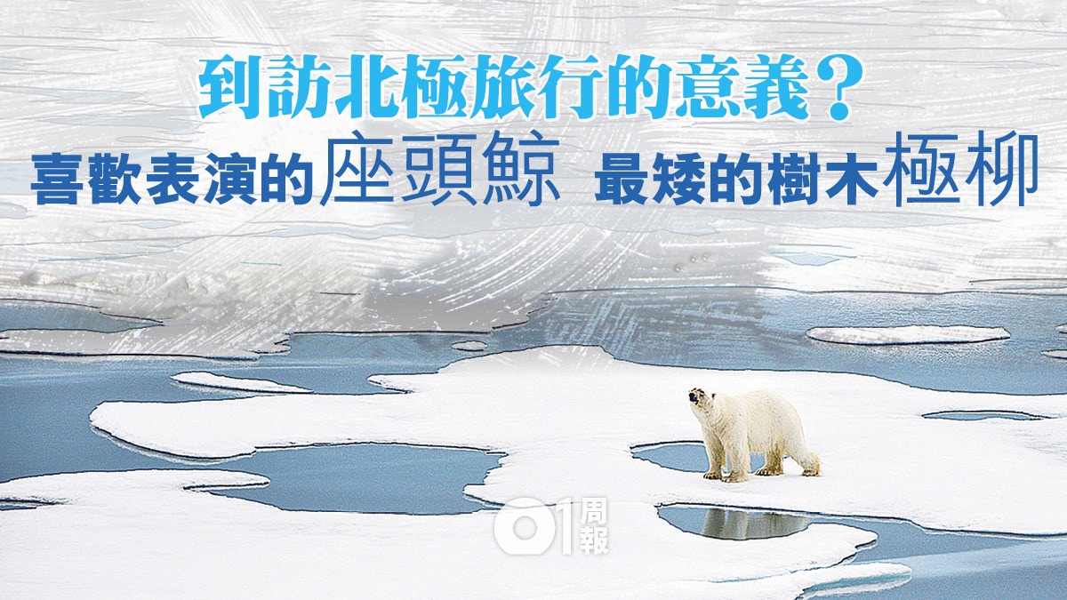 書評 北極博物筆記 掀開神奇島面紗走進動植物烏托邦