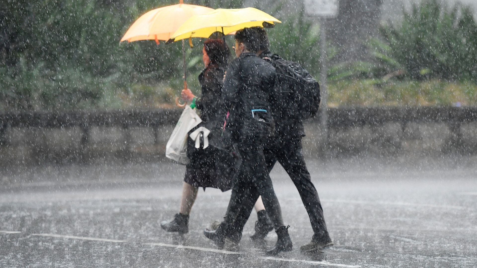 澳洲山火威脅未解除 暴雨衝擊東部省份 澳洲山火威脅未解除 暴雨衝擊東部省份