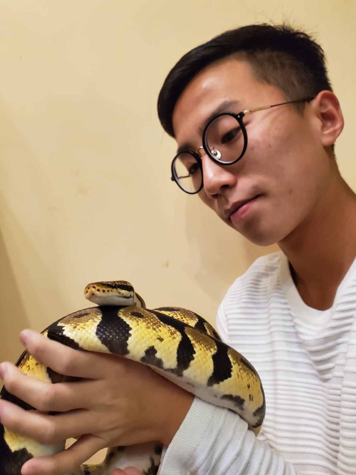 (受訪者提供) (受訪者提供)