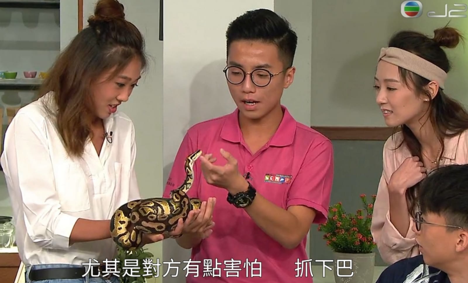 Victor嘆港人對蛇類存有誤解,甚至會在言語上攻擊牠們。(受訪者提供) Victor嘆港人對蛇類存有誤解,甚至會在言語上攻擊牠們。(受訪者提供)