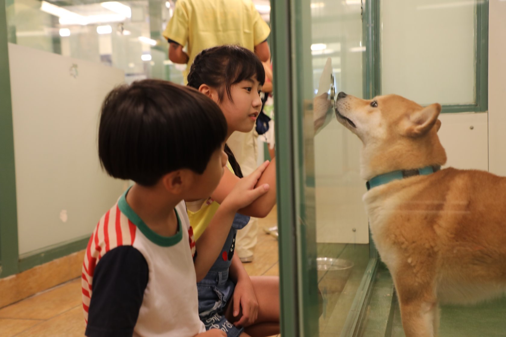 愛協呼籲各主人請勿棄養寵物,如有疑問請索取獸醫的專業建議。(SPCA) 愛協呼籲各主人請勿棄養寵物,如有疑問請索取獸醫的專業建議。(SPCA)