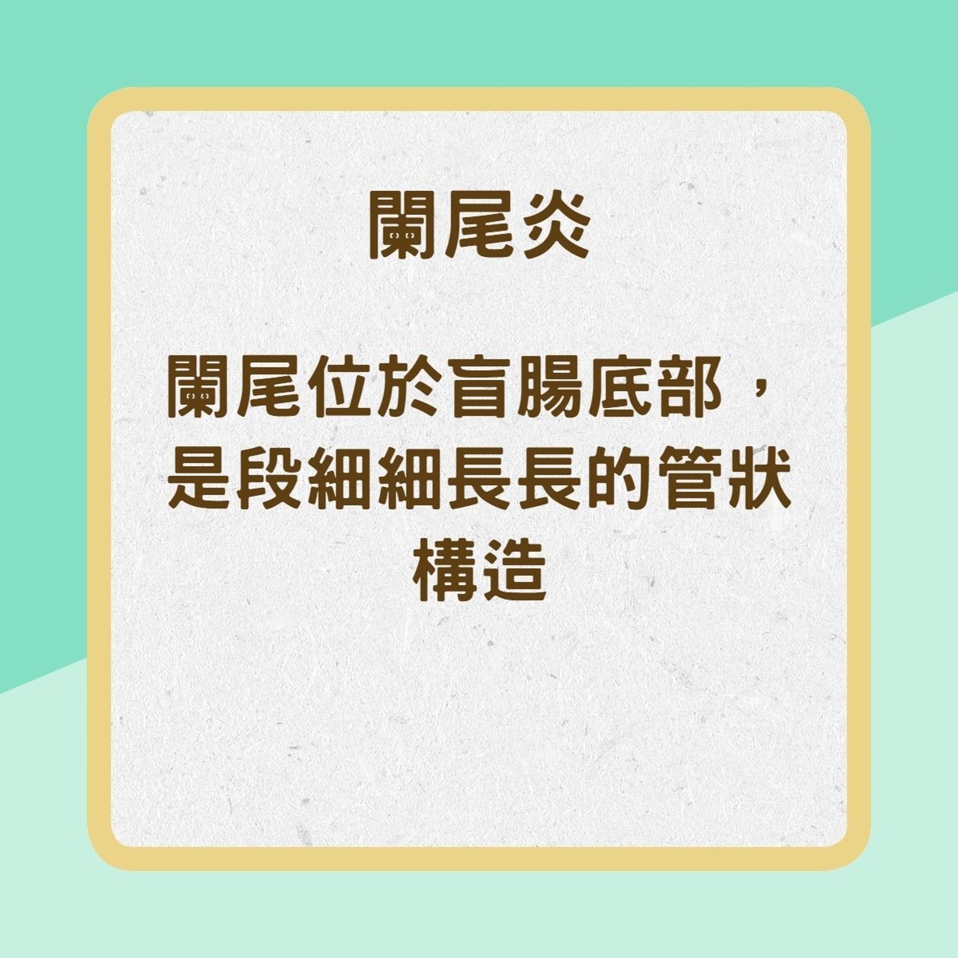 平常最易發生腹痛原因(01製圖) 平常最易發生腹痛原因(01製圖)