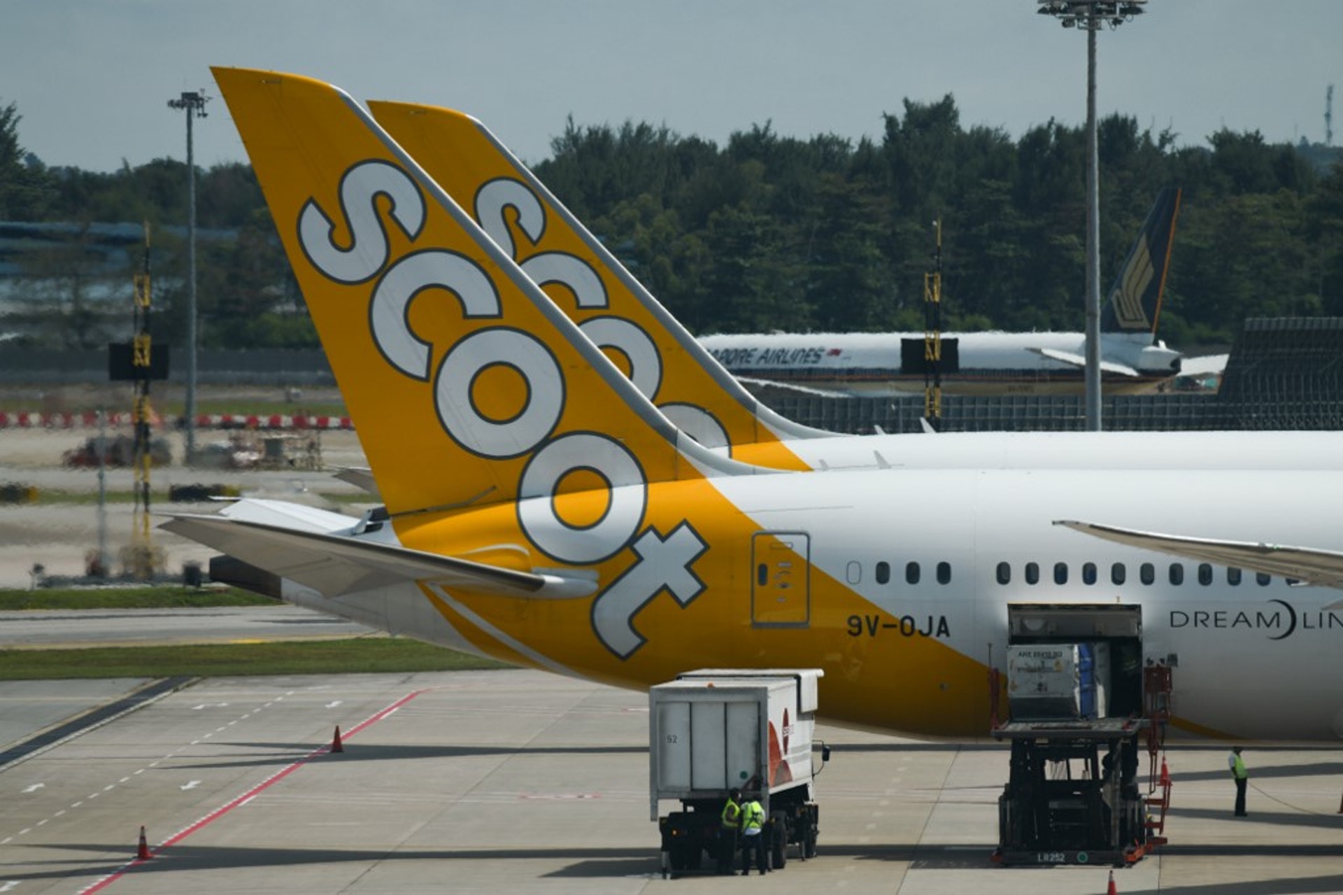 新加坡截止1月30日確診13宗武漢肺炎個案。新加坡航空31日表示,2月會減少飛往中國部分城市的班機。圖為2020年1月30日在新加坡國際機場的酷航客機。(AFP) 新加坡截止1月30日確診13宗武漢肺炎個案。新加坡航空31日表示,2月會減少飛往中國部分城市的班機。圖為2020年1月30日在新加坡國際機場的酷航客機。(AFP)