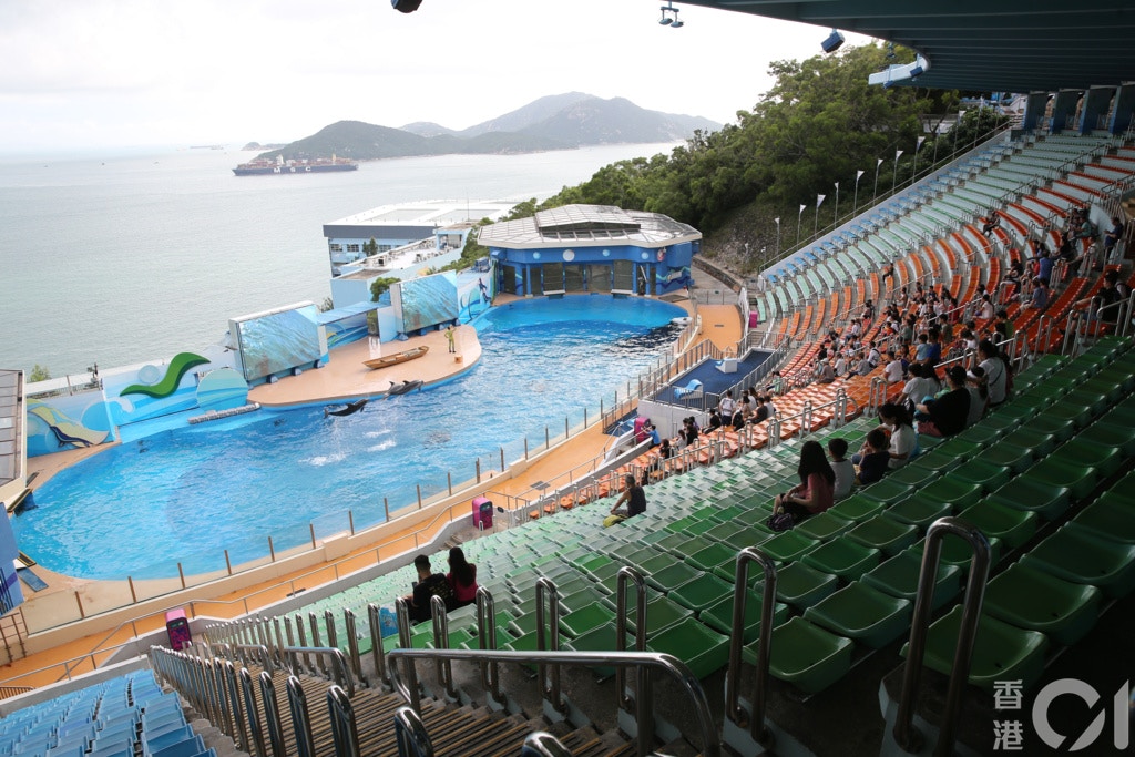 新定位下的海洋公園聲稱不會改變其保育使命,並會取消「海洋劇場」表演,以符合國際保育標準。(資料圖片/蔡正邦攝) 新定位下的海洋公園聲稱不會改變其保育使命,並會取消「海洋劇場」表演,以符合國際保育標準。(資料圖片/蔡正邦攝)