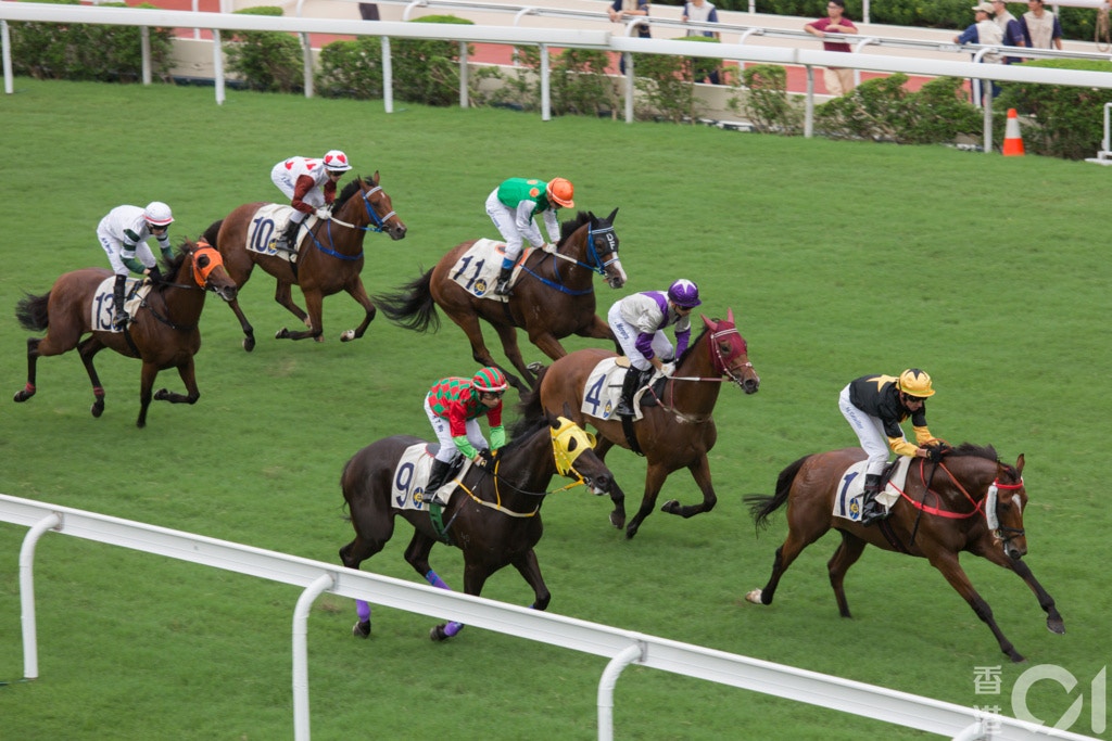 「豚聚一家」召集人黃豪賢批評指,賽馬屬於虐待動物行為。(資料圖片/江智騫攝) 「豚聚一家」召集人黃豪賢批評指,賽馬屬於虐待動物行為。(資料圖片/江智騫攝)