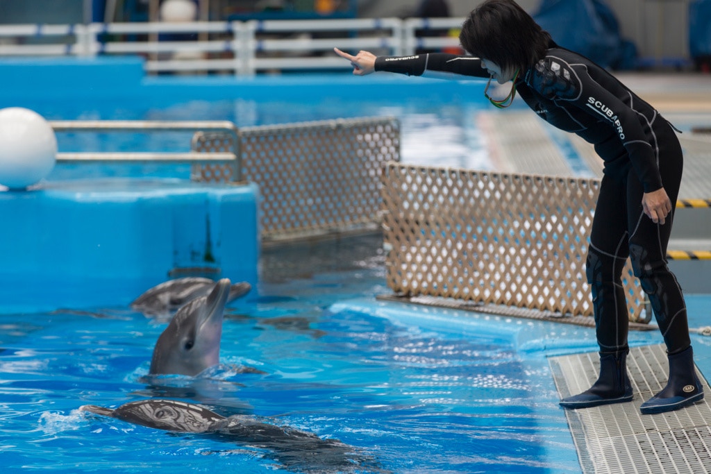 (資料圖片/江智騫攝) (資料圖片/江智騫攝)