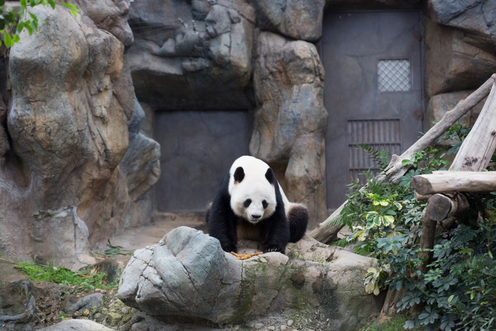 (資料圖片/江智騫攝) (資料圖片/江智騫攝)