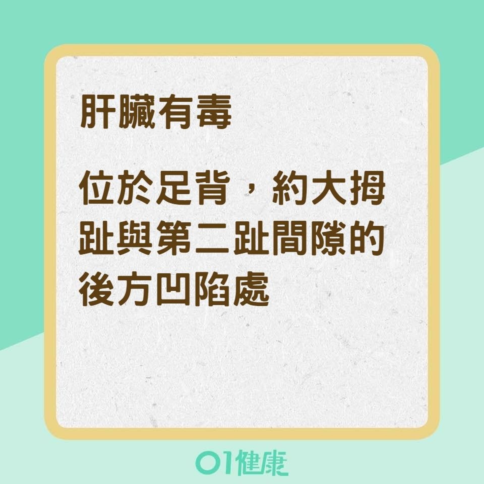 五臟六腑各器官排毒法(01製圖) 五臟六腑各器官排毒法(01製圖)