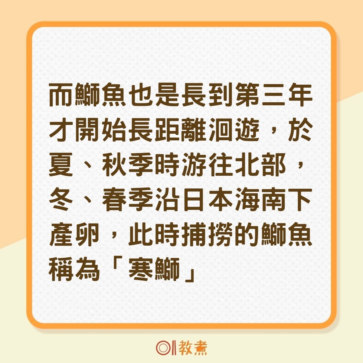 食物解碼 拆解油甘魚最佳食用時機冰見寒鰤日本境內限定 香港01 教煮