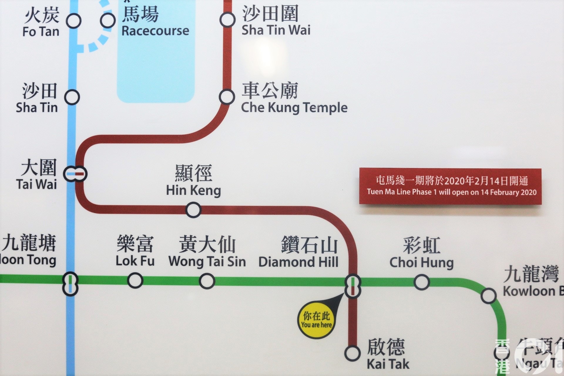 屯馬綫開通 啟德站5間美食推介新蒲崗尋懷舊撈麵 金牌奶茶 香港01 食玩買