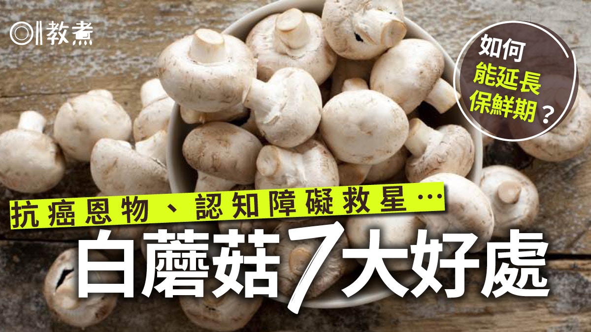 白蘑菇營養｜減認知障礙助防癌7好處與啡蘑菇不同？保存錯1步快爛