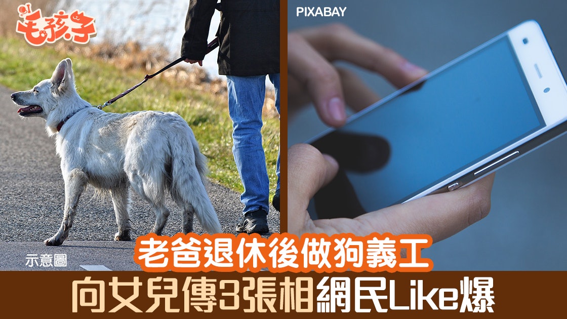 老爸退休做義工放狗 隨便向女兒傳狗狗照 想不到一夜爆紅 老爸退休做義工放狗 隨便向女兒傳狗狗照 想不到一夜爆紅